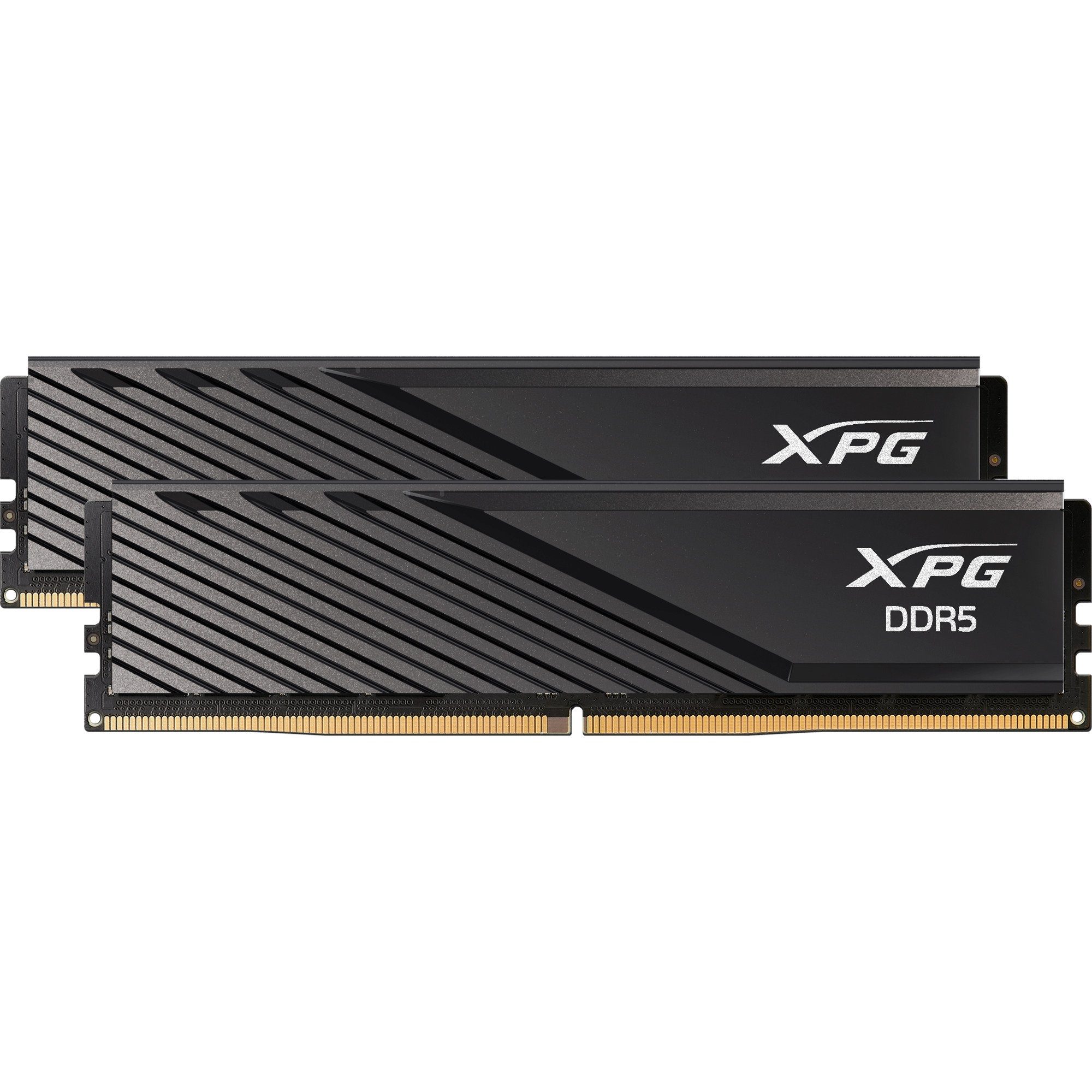 ADATA ADATA DIMM 32 GB DDR5-5600 (2x 16 GB) Dual-Kit, Arbeitsspeicher
