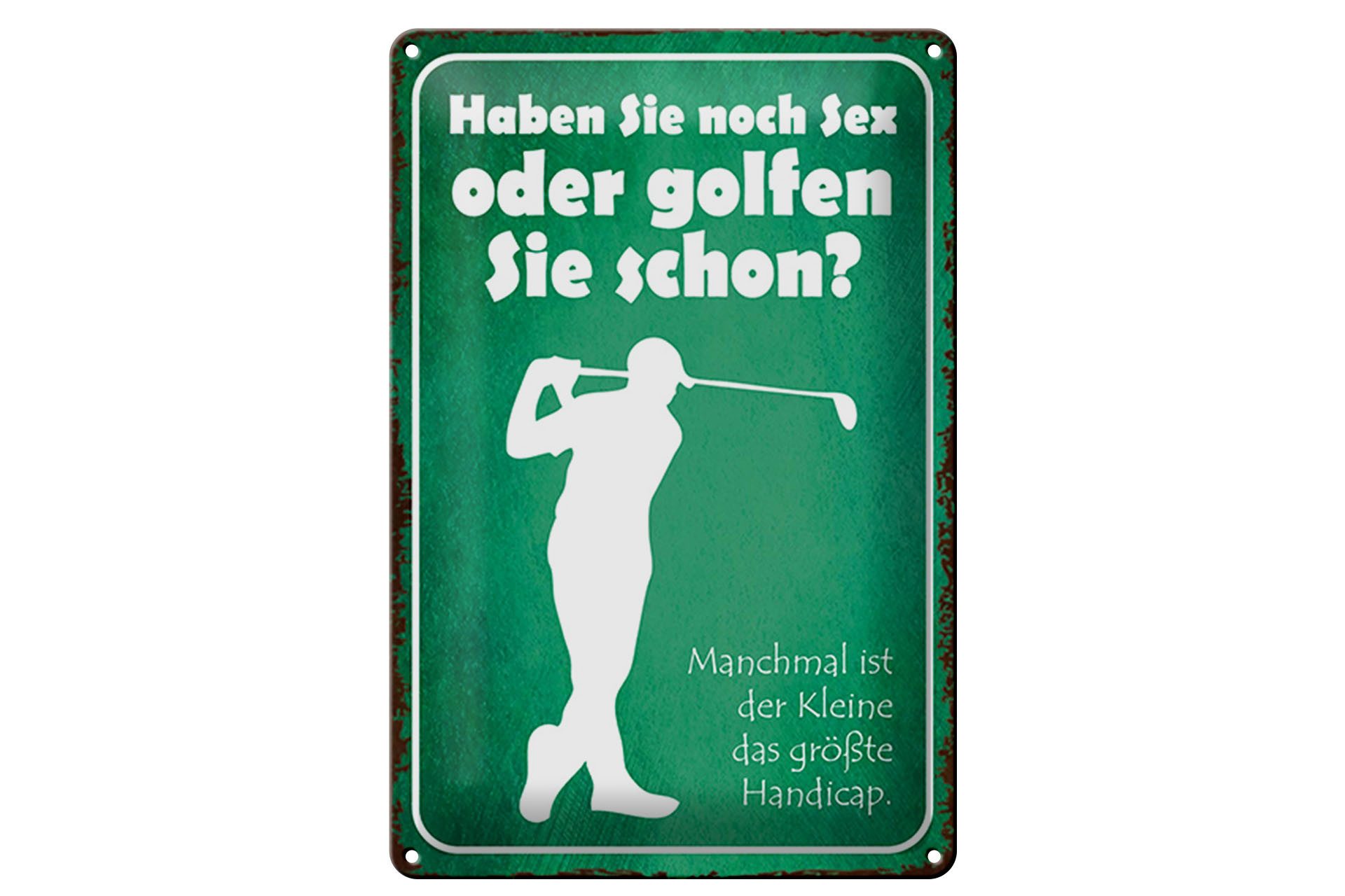 Hebold Metallschild Schild Blech 20x30cm - Made in Germany - Spruch Haben Sie noch Sex ode