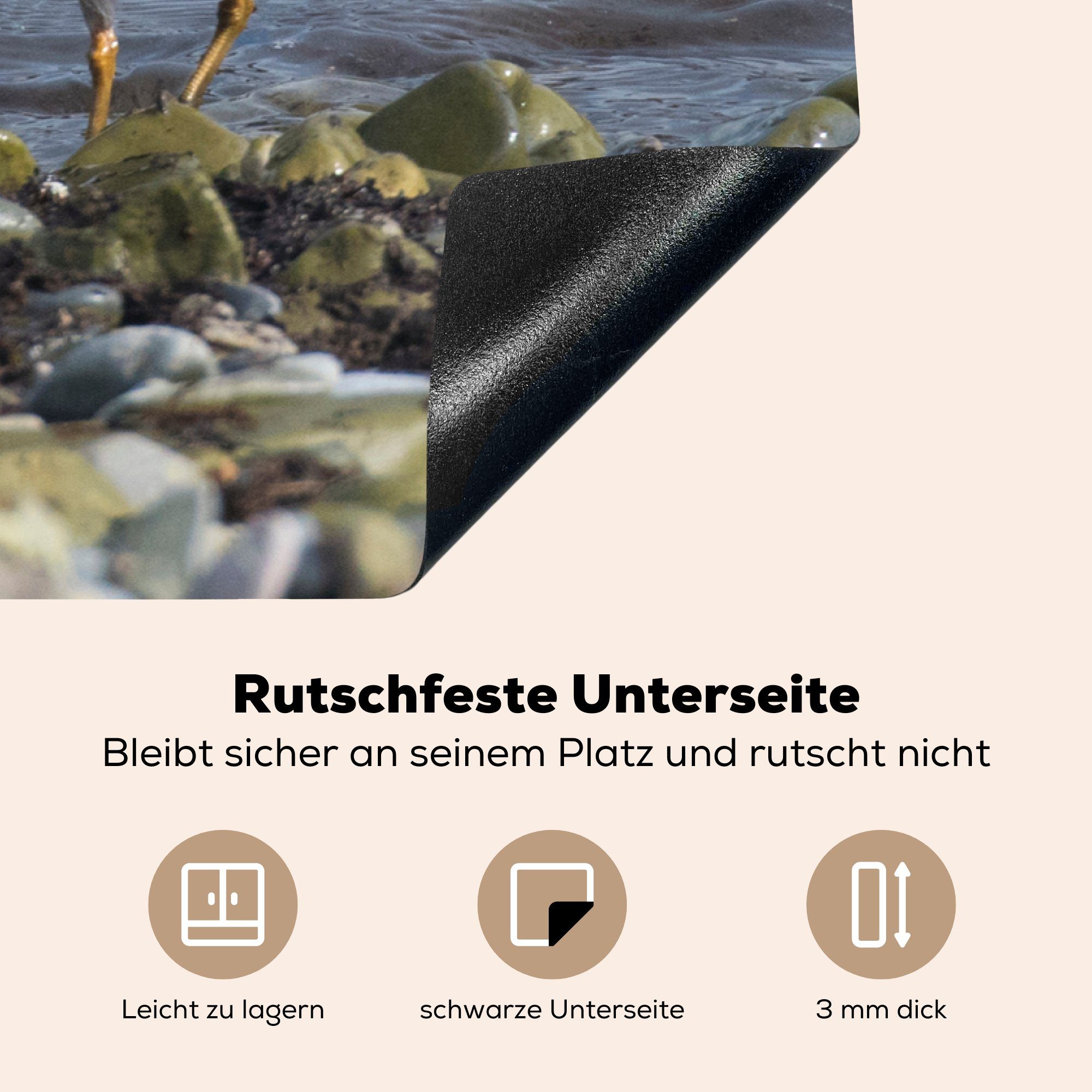 Ceranfeldabdeckung Vinyl, (1 MuchoWow Herdblende-/Abdeckplatte für Nahrung, 81x52 Suche nach Purple Stint küche, Schutz der auf die tlg), cm, Induktionskochfeld