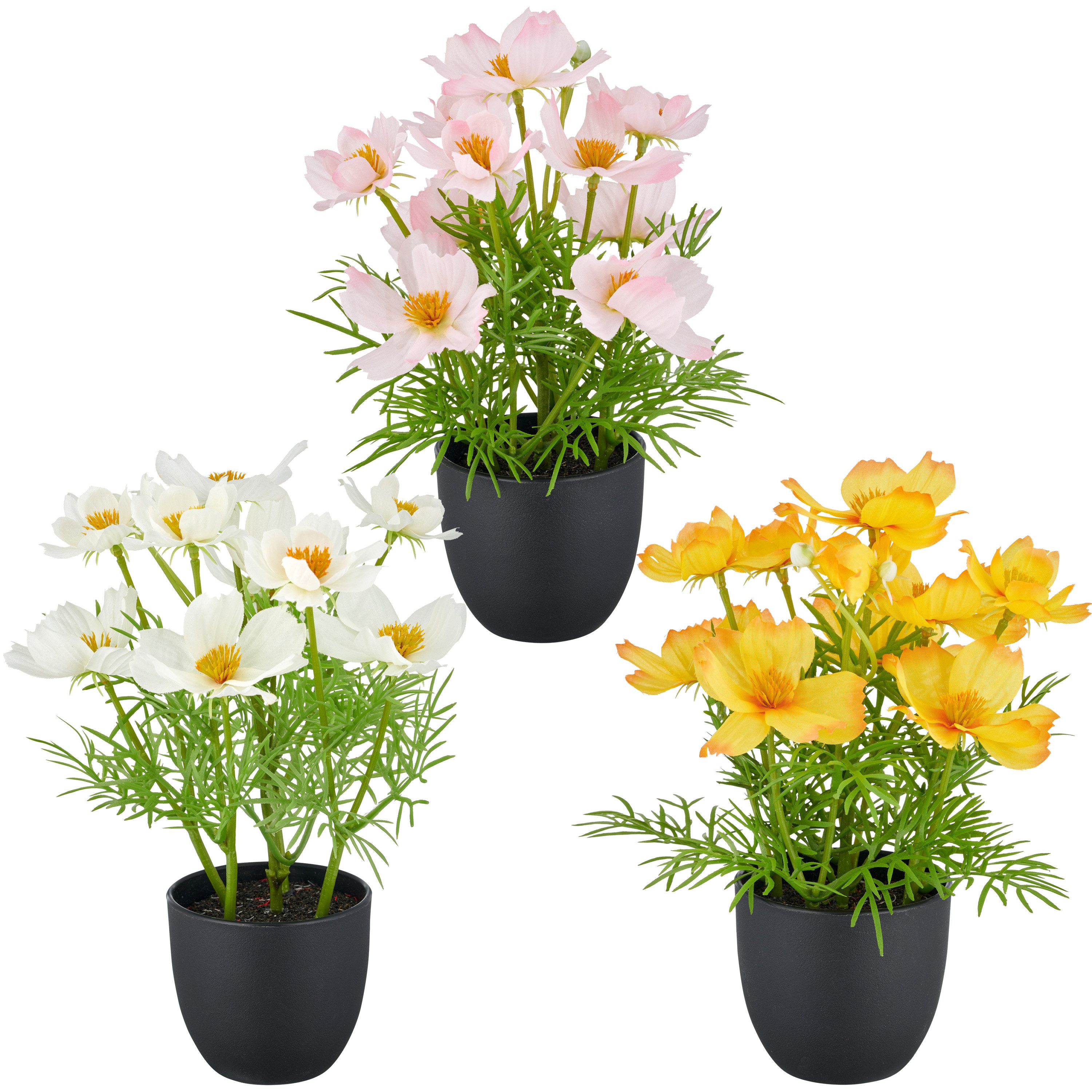Kunstpflanze Cosmea, Creativ green, Höhe 22 günstig online kaufen