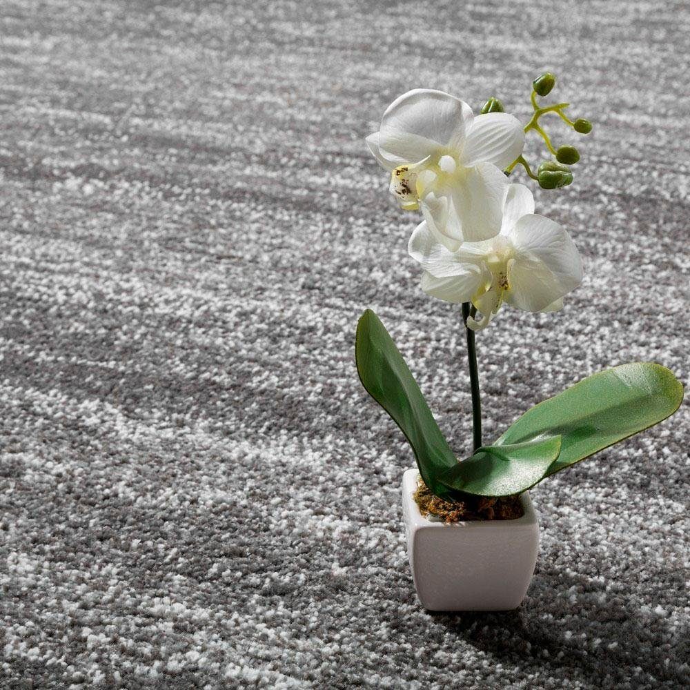 Paco Home Läufer ECE 900, rechteckig, Höhe: 15 mm, Teppich-Läufer, Kurzflor günstig online kaufen