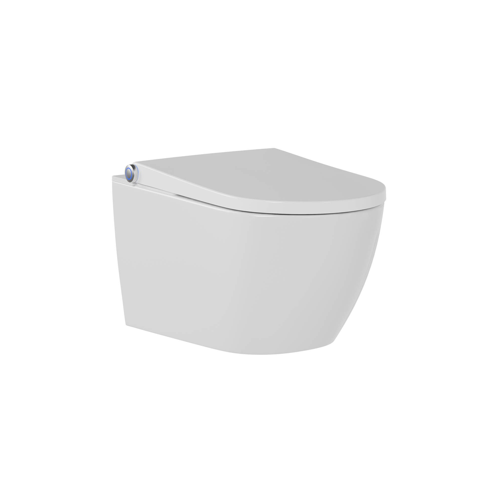 Bernstein WC-Komplettset Dusch-WC PRO+ 1102, Wandmontage, (Vorwand-Set 4-St. WC, Vorwandelement, Betätigungsplatte, Wasseranschluss-Set), Mit Geberit Duofix Vorwandelement