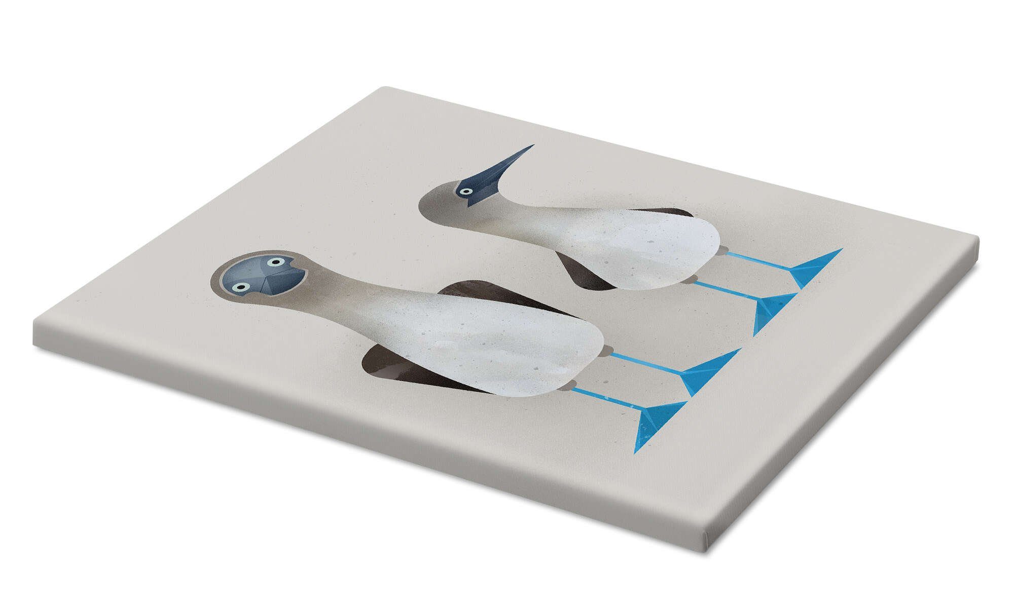 Posterlounge Poster Dieter Braun, Blaufußtölpel, Kinderzimmer günstig online kaufen