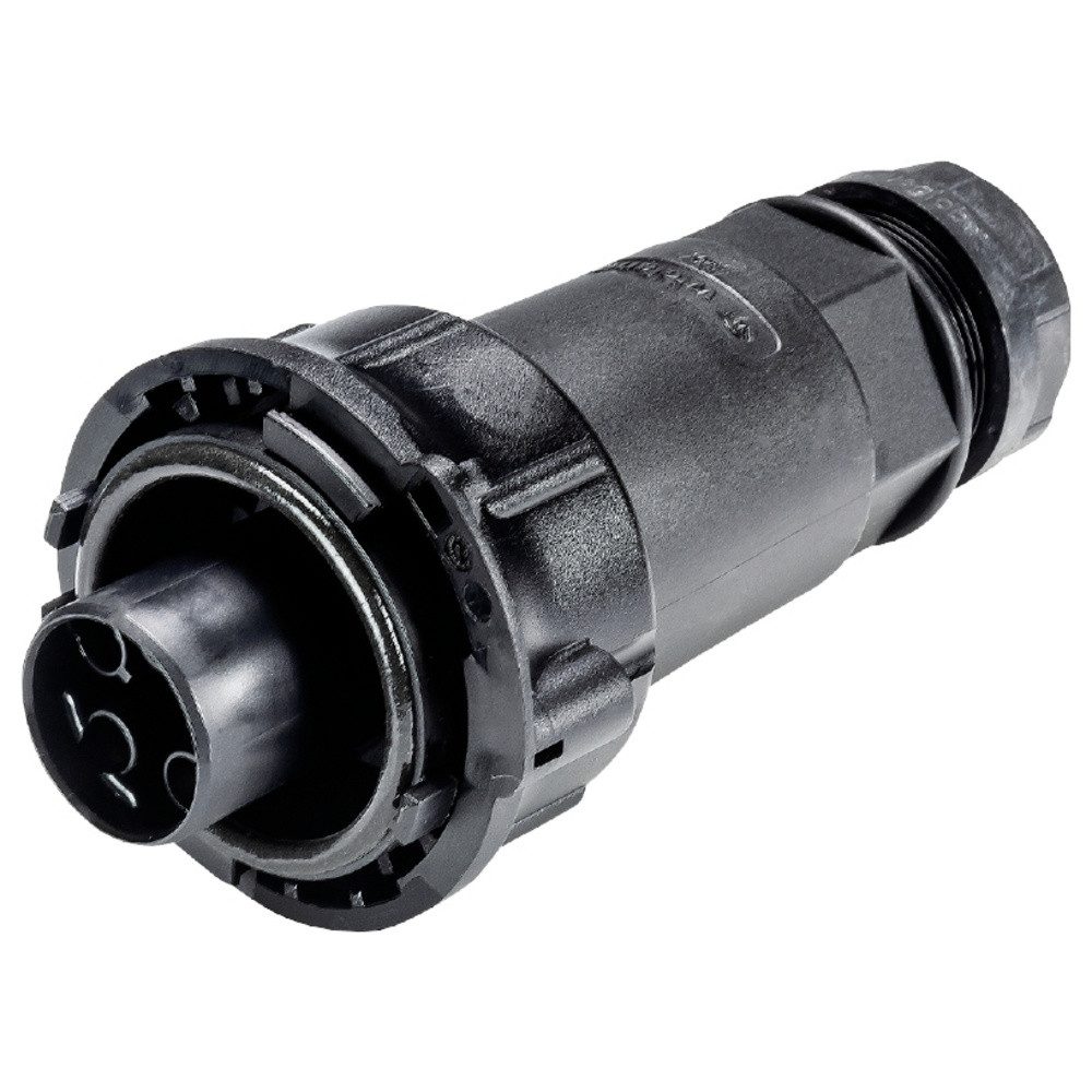 Wieland Electric Wieland Electric 97.041.4053.1 Steckverbinder Installationskabel