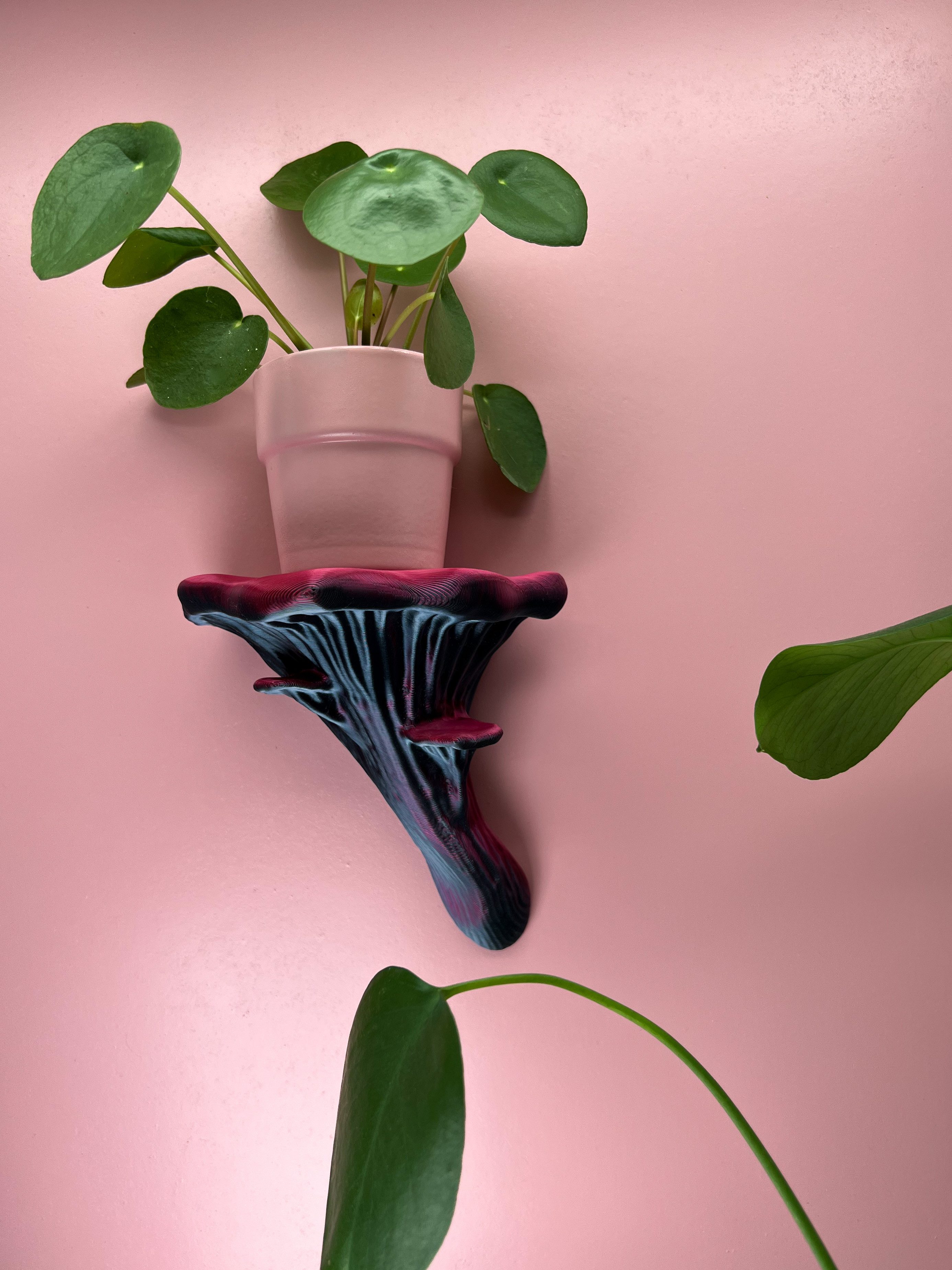 Roomberry Deko-Wandregal Schwebendes Austernpilz Wandregal – Dein Exklusives Deko-Wandregal, Hergestellt in Deutschland in unserer eigenen Manufaktur