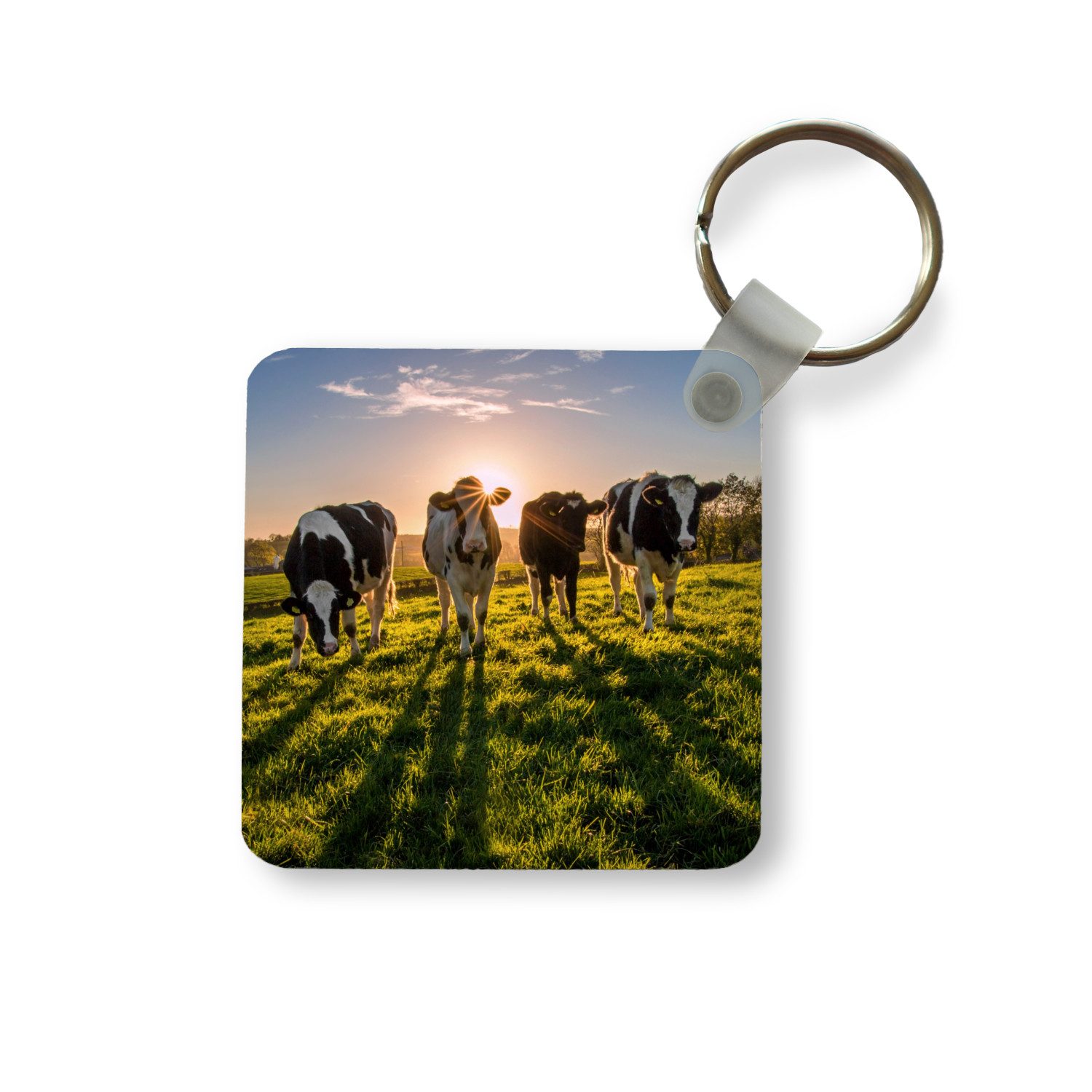 Schlüsselanhänger Kühe - Sonne - Gras - Tiere - Bauernhof