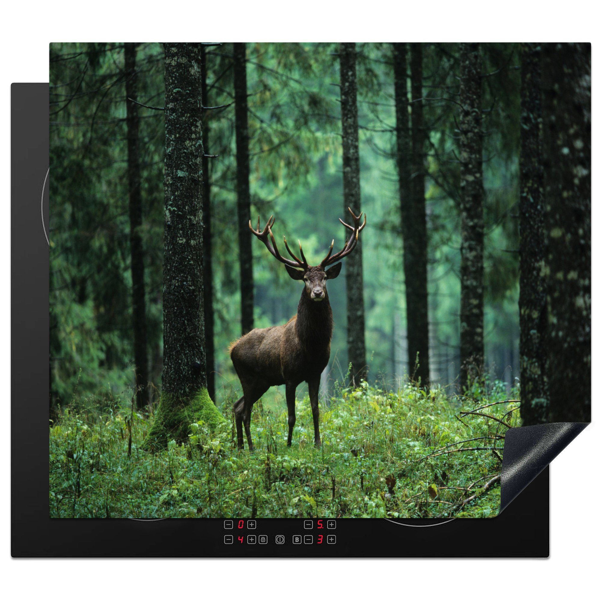 MuchoWow Herdblende-/Abdeckplatte Hirsche - Wald - Bäume - Tiere - Natur, Vinyl, (1 tlg), 57x51 cm, Induktionsschutz, Induktionskochfeld, Ceranfeldabdeckung