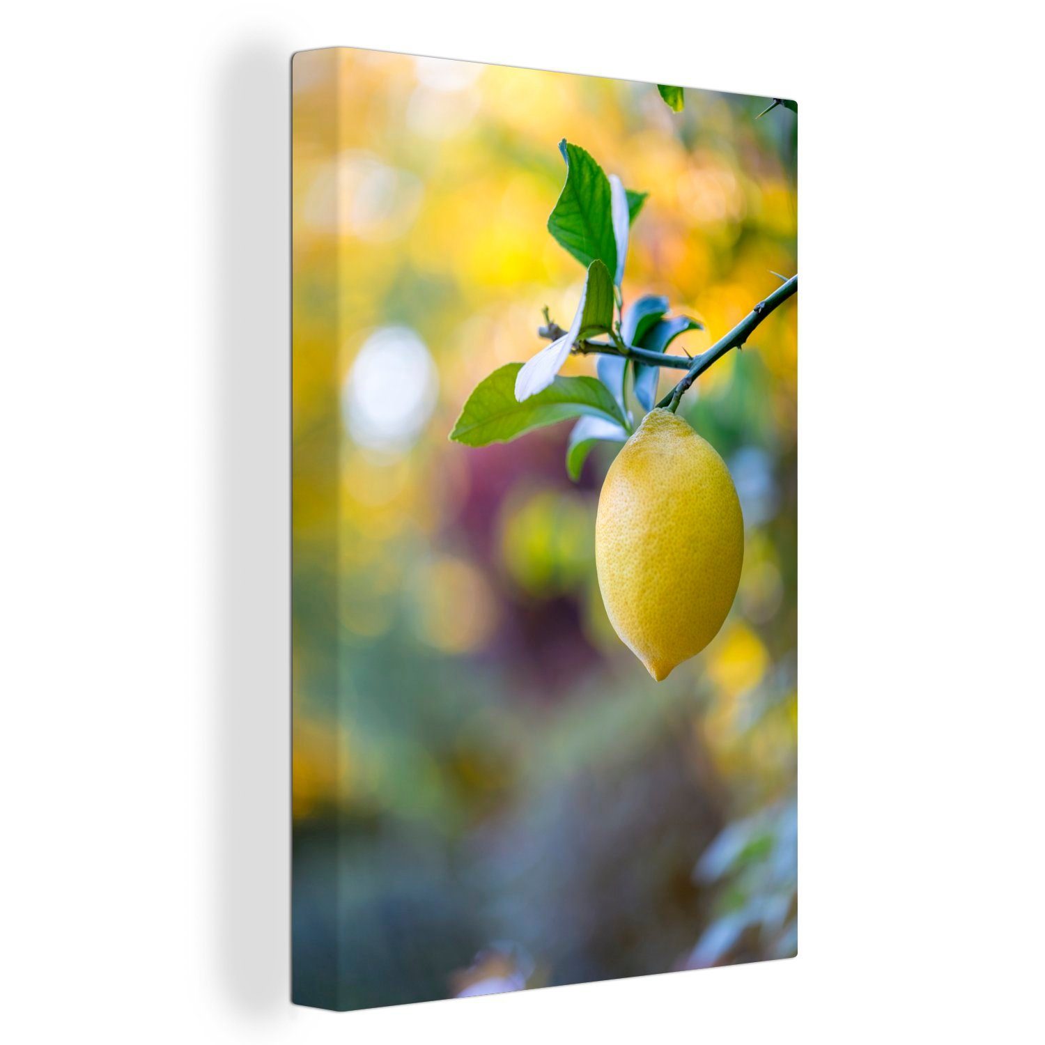 OneMillionCanvasses® Leinwandbild Nahaufnahme einer Zitrone auf einem Zweig, (1 St), Leinwandbild fertig bespannt inkl. Zackenaufhänger, Gemälde, 20x30 cm