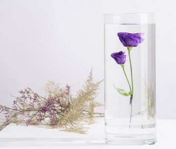 esschert design Kugelvase Versunkene Blumenvase 2.WAHL 30cm Glas mit Clip Pflanzen Deko (1 Vase)