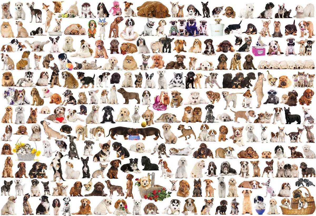 Puzzle 1000 Hunde cm., Puzzle empireposter 68x48 Teile Format - 1000 Puzzleteile Hundewelt -