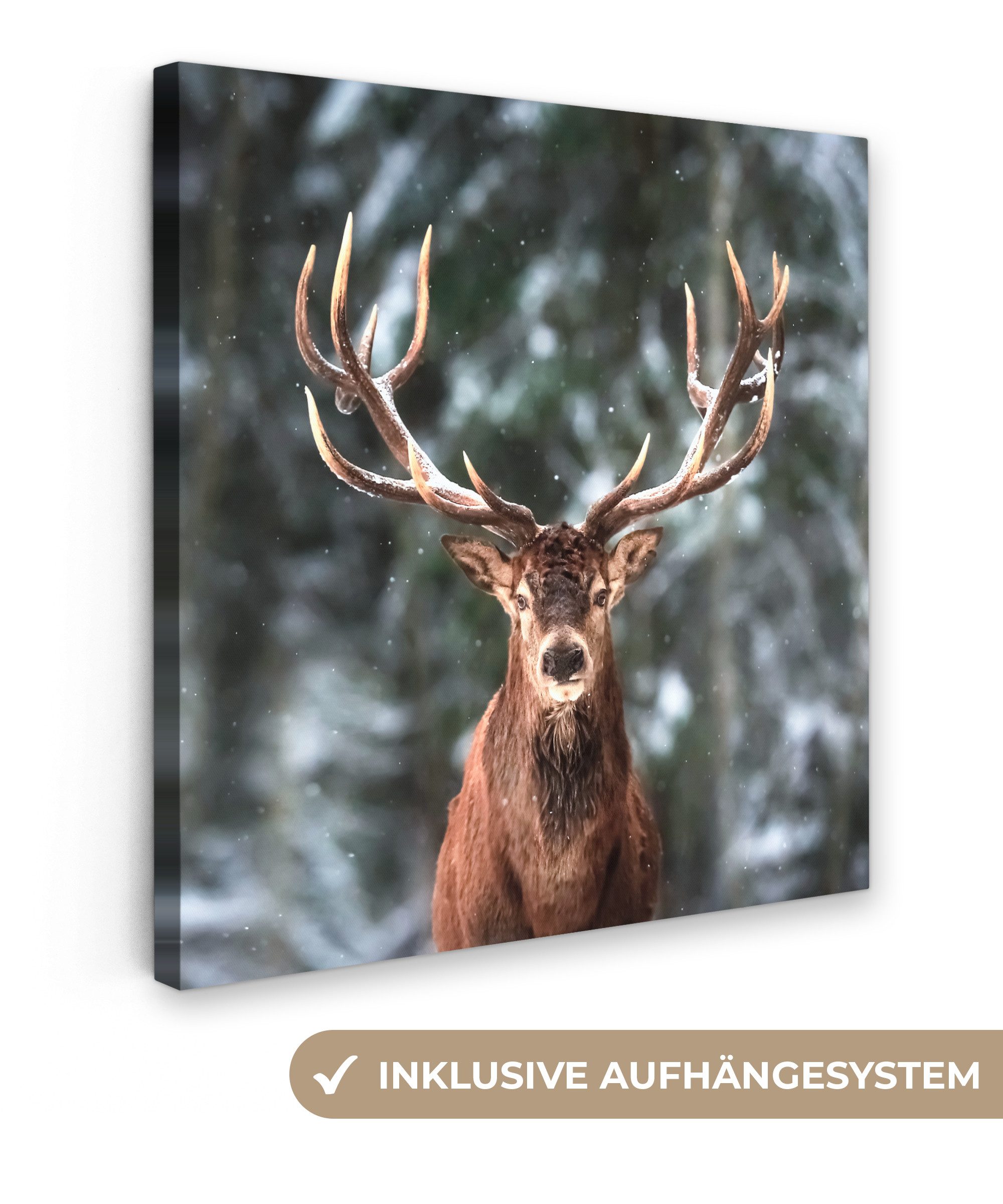 OneMillionCanvasses® Leinwandbild Rotwild - Winter - günstig online kaufen