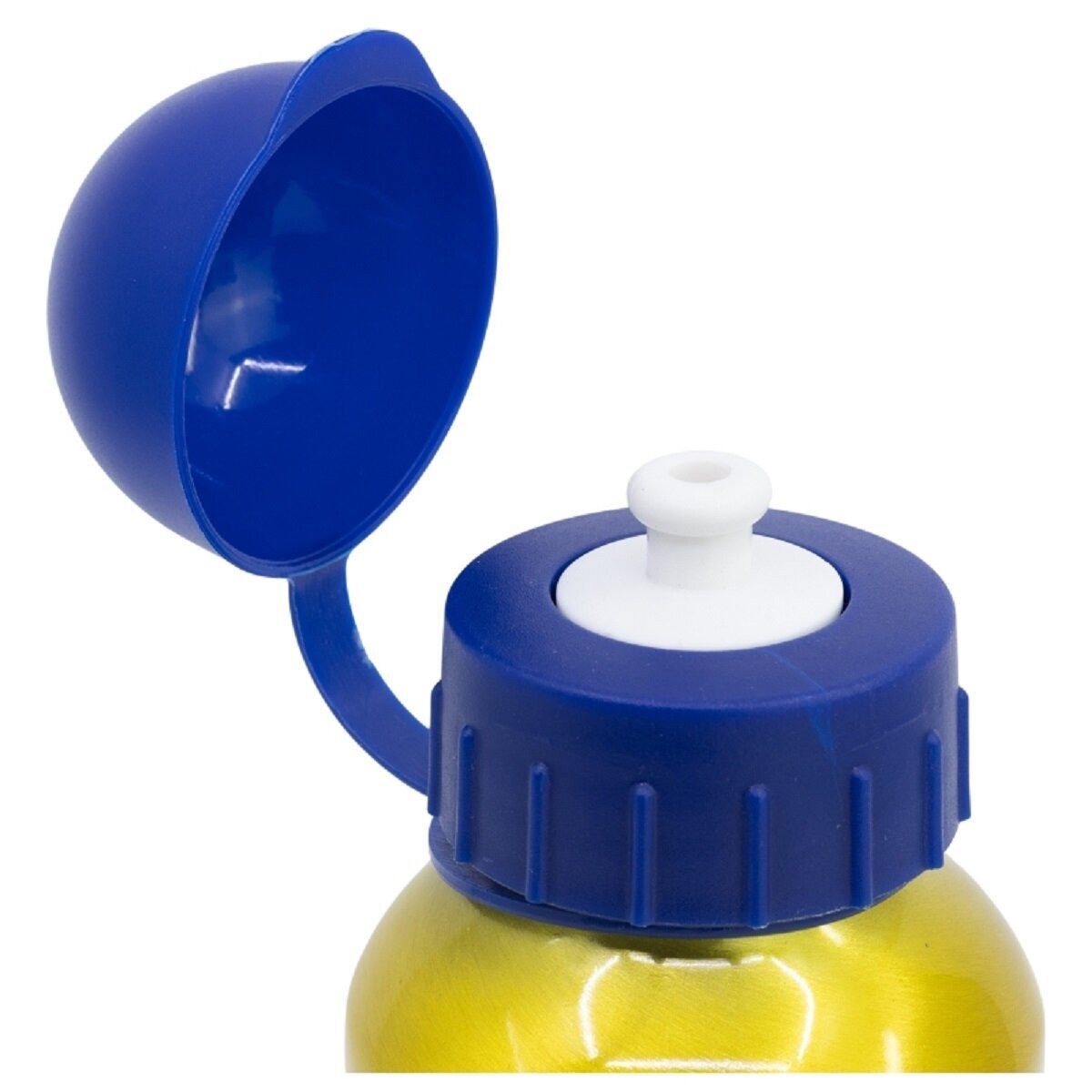 PAW PATROL Trinkflasche Paw Patrol Trinkflasche Aluminium, 530ml, mit Sicherheitsverschluss