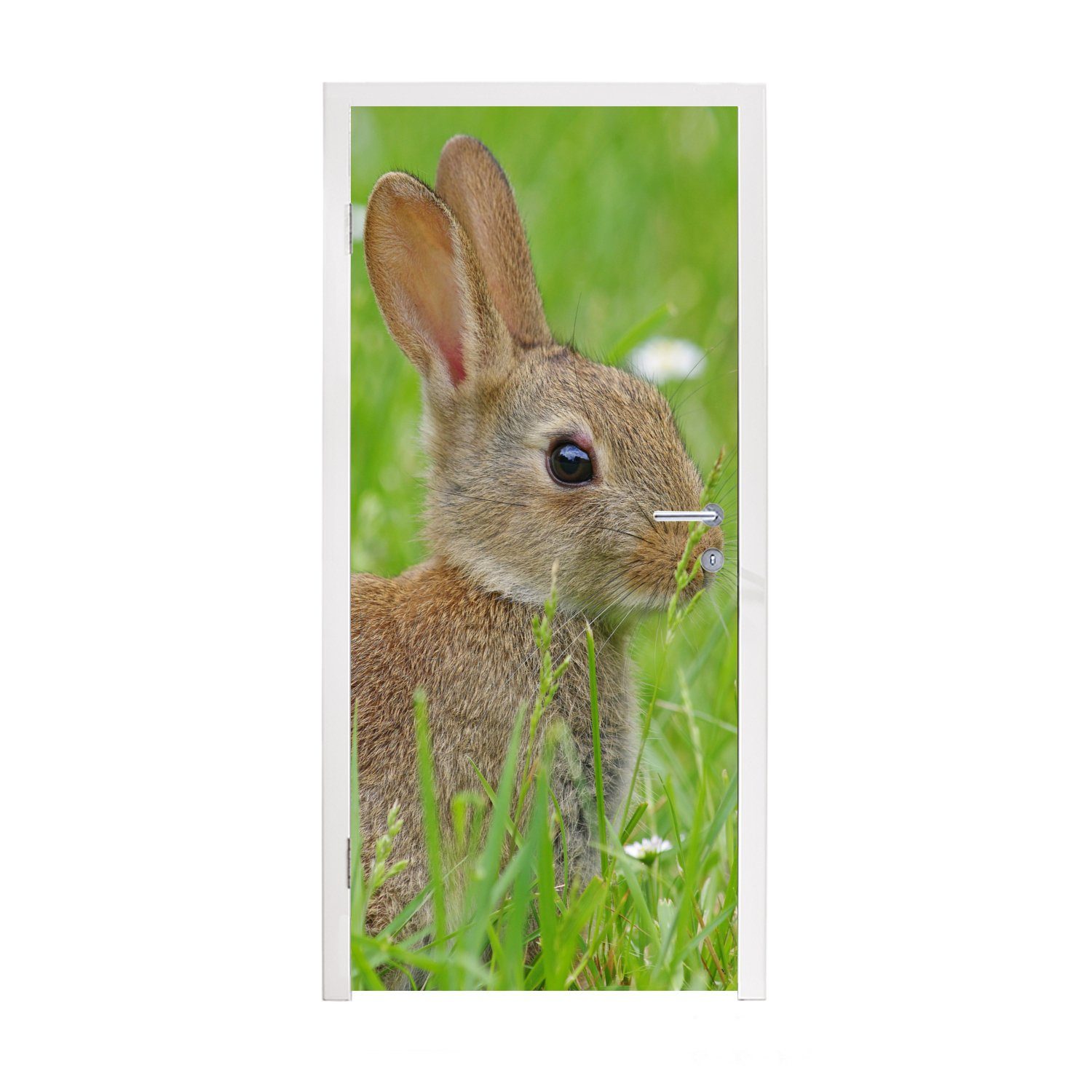 MuchoWow Türtapete Kaninchen - Blumen - Gras, Matt, bedruckt, (1 St), Fototapete für Tür, Türaufkleber, 75x205 cm