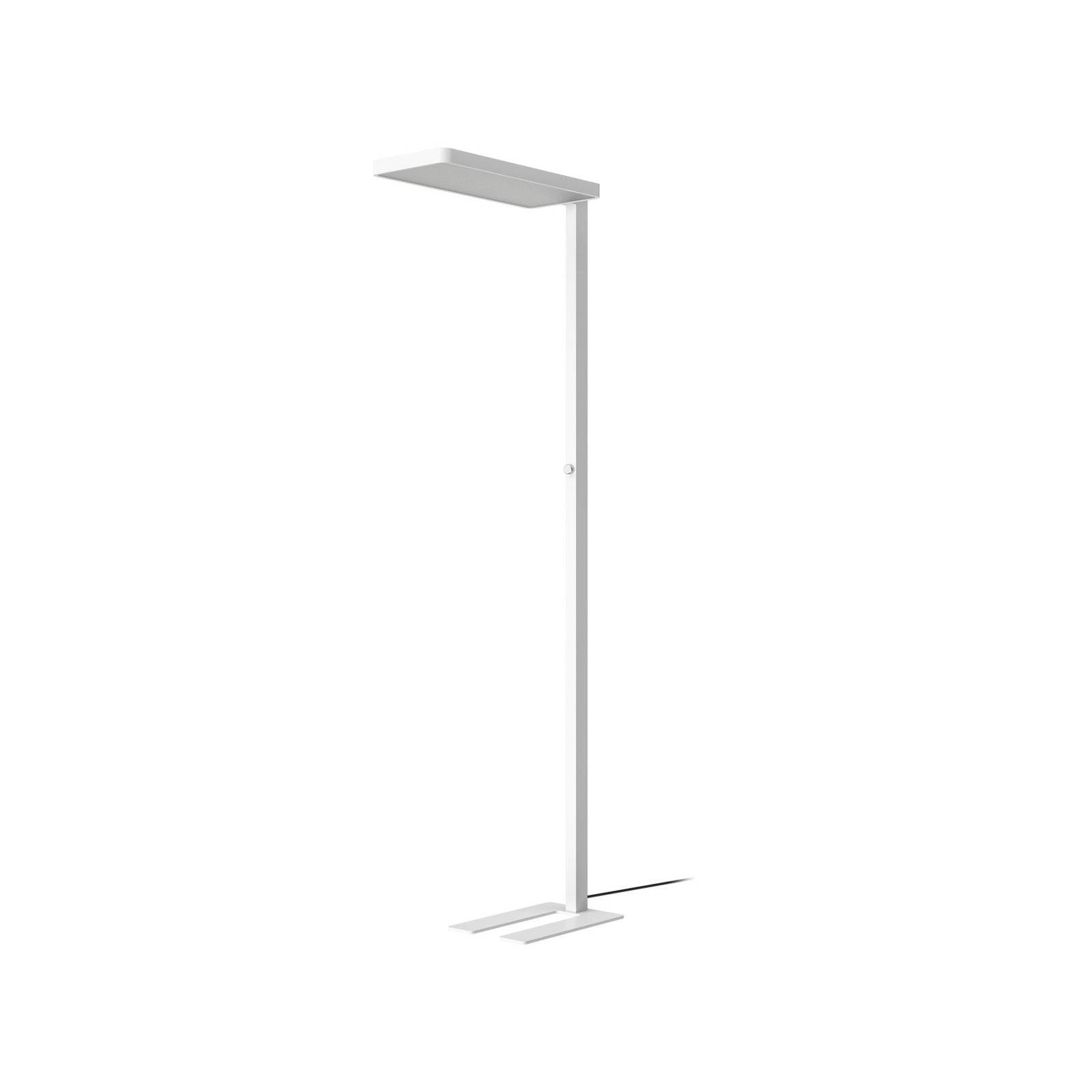 Arcchio Stehlampe Timon, Enthalten, 1 x 36 W LED + 1 x 24 W LED, universalweiß