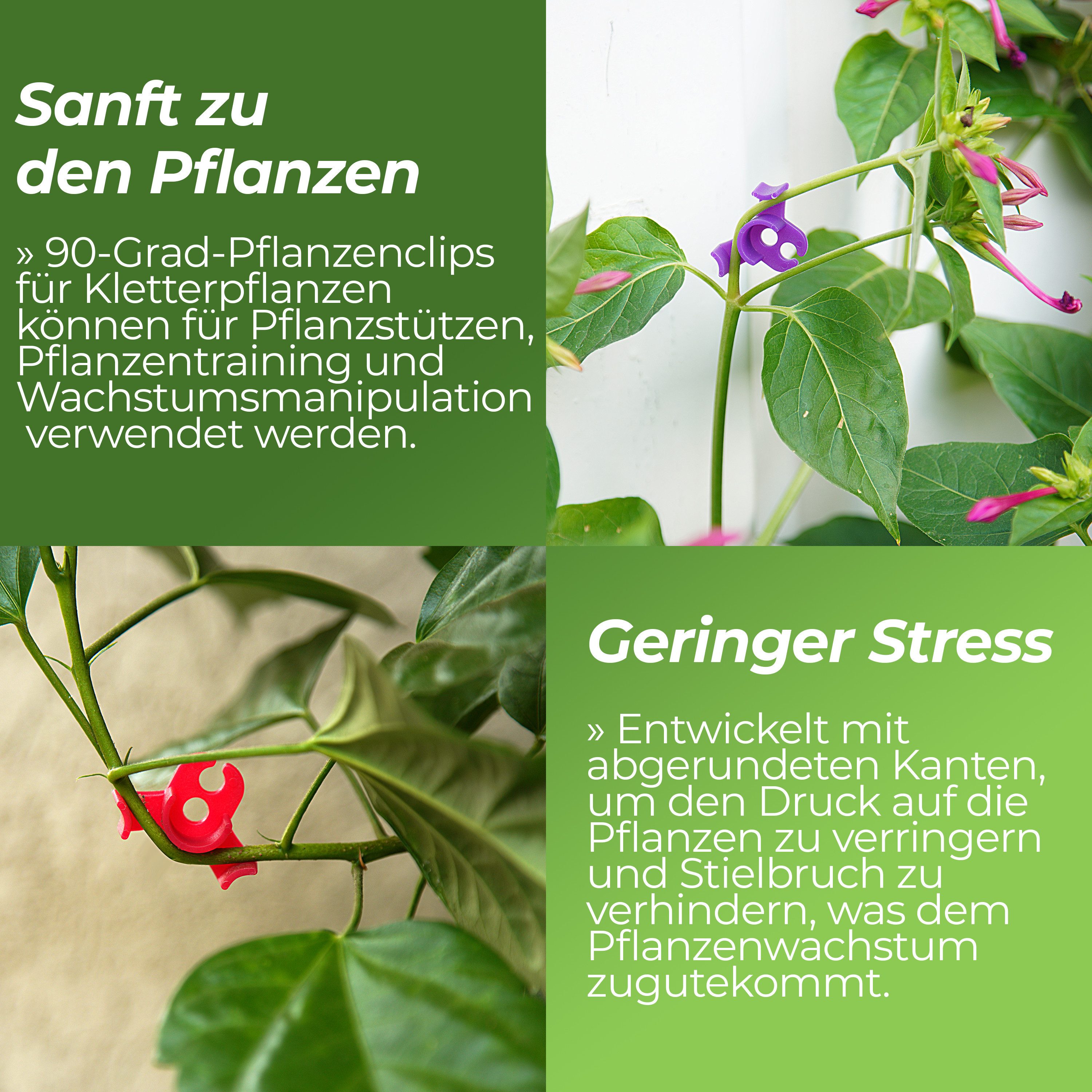 Grow Expert Gartenpflege-Set 40 Stück Pflanzenbieger Winkel Grow LST Clips für Low Stress – Bild 4 von 5