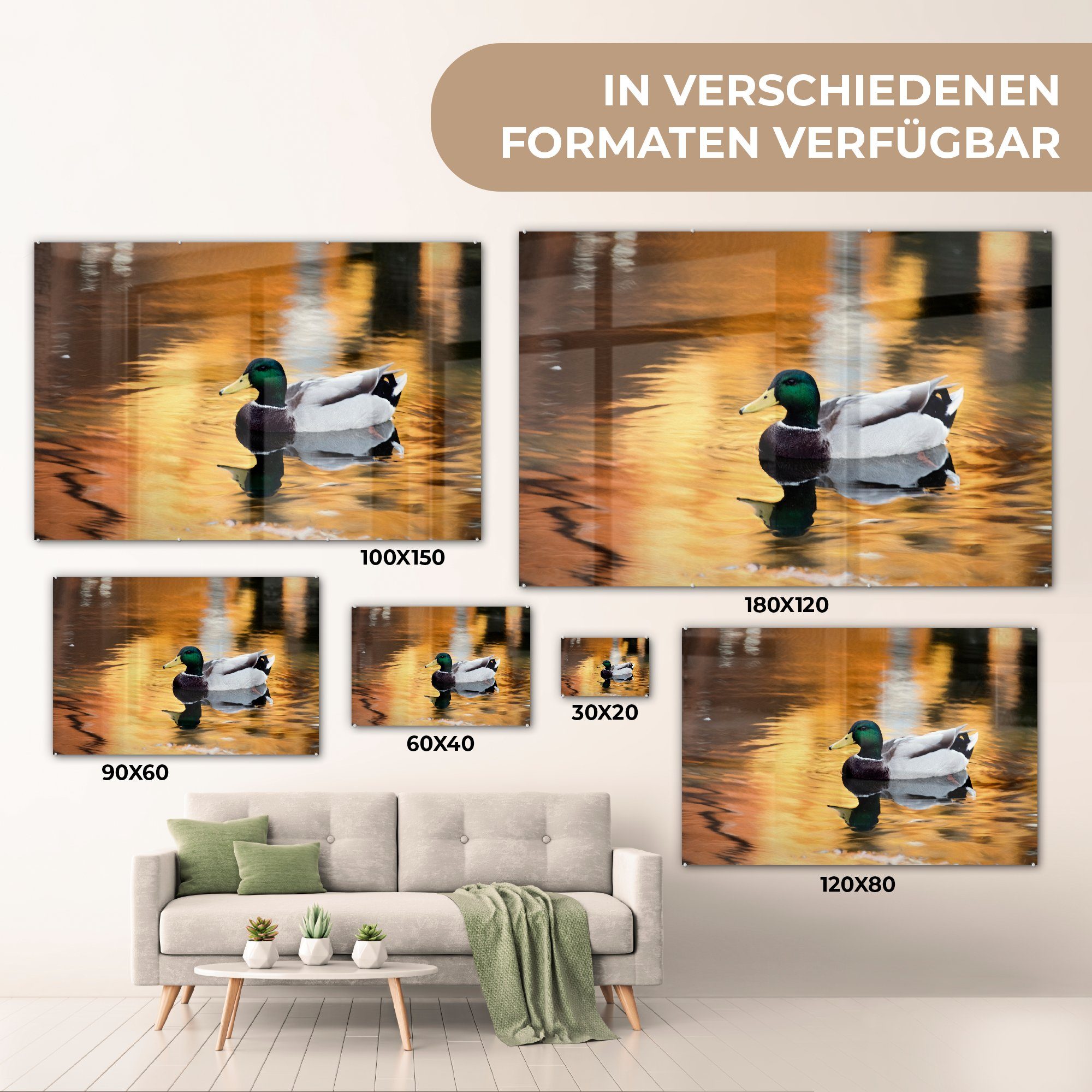 MuchoWow Acrylglasbild Spiel - St), Ente - (1 & Wohnzimmer Schlafzimmer Acrylglasbilder Herbst