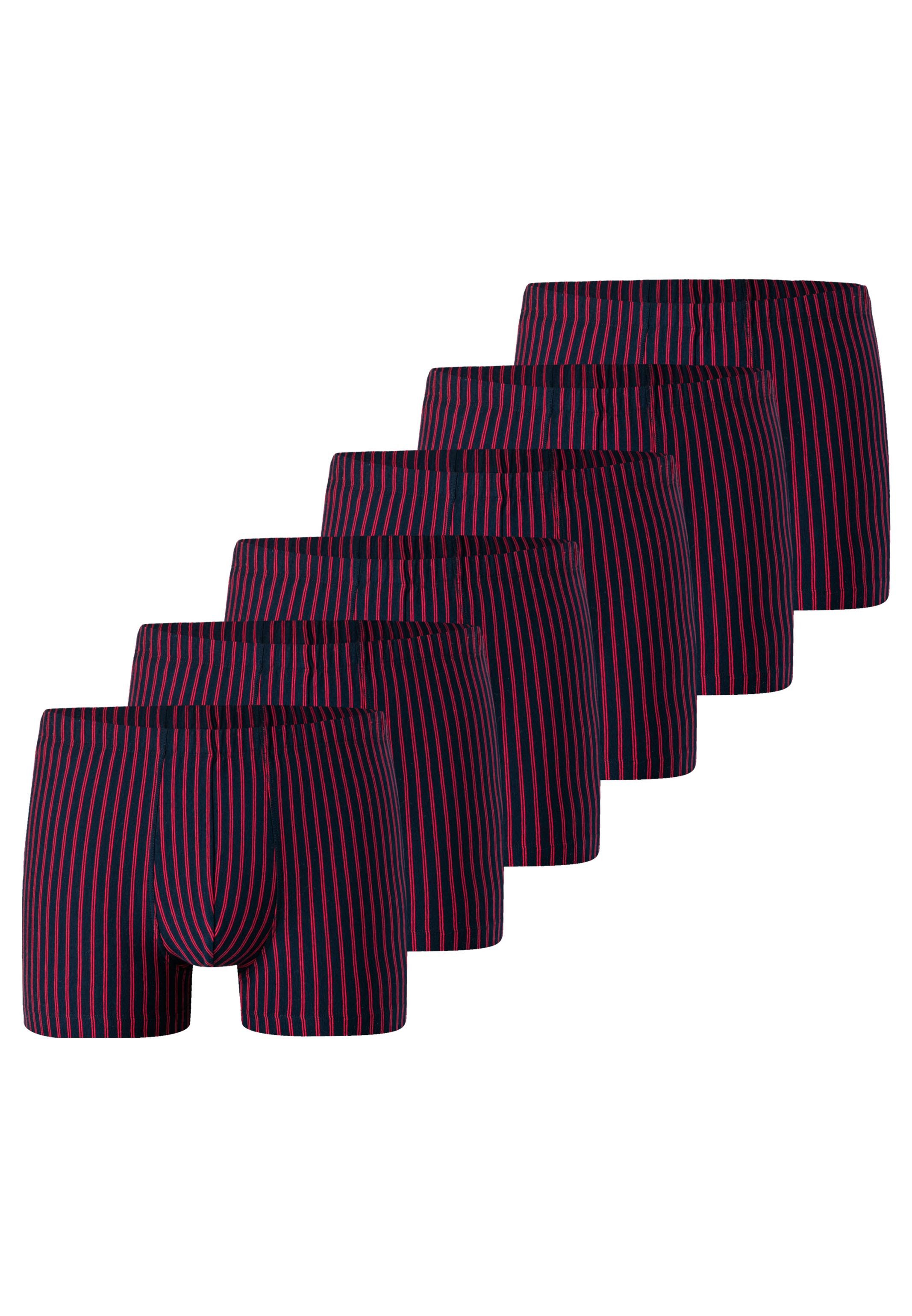 Retro Boxer 6er Pack 95/5 Essentials Organic Cotton