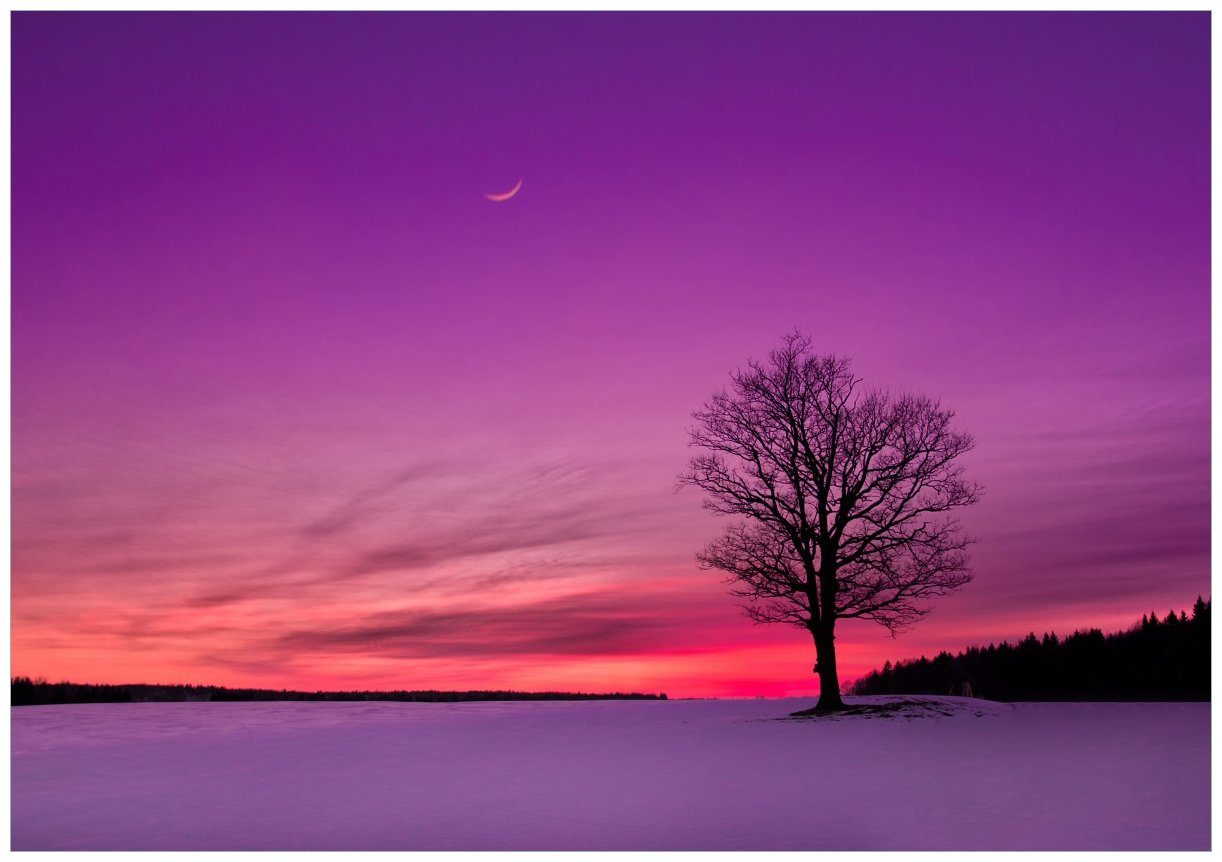 Wallario Wandbild, Mond und Baum am Abend bei Schnee, in verschiedenen Ausführungen