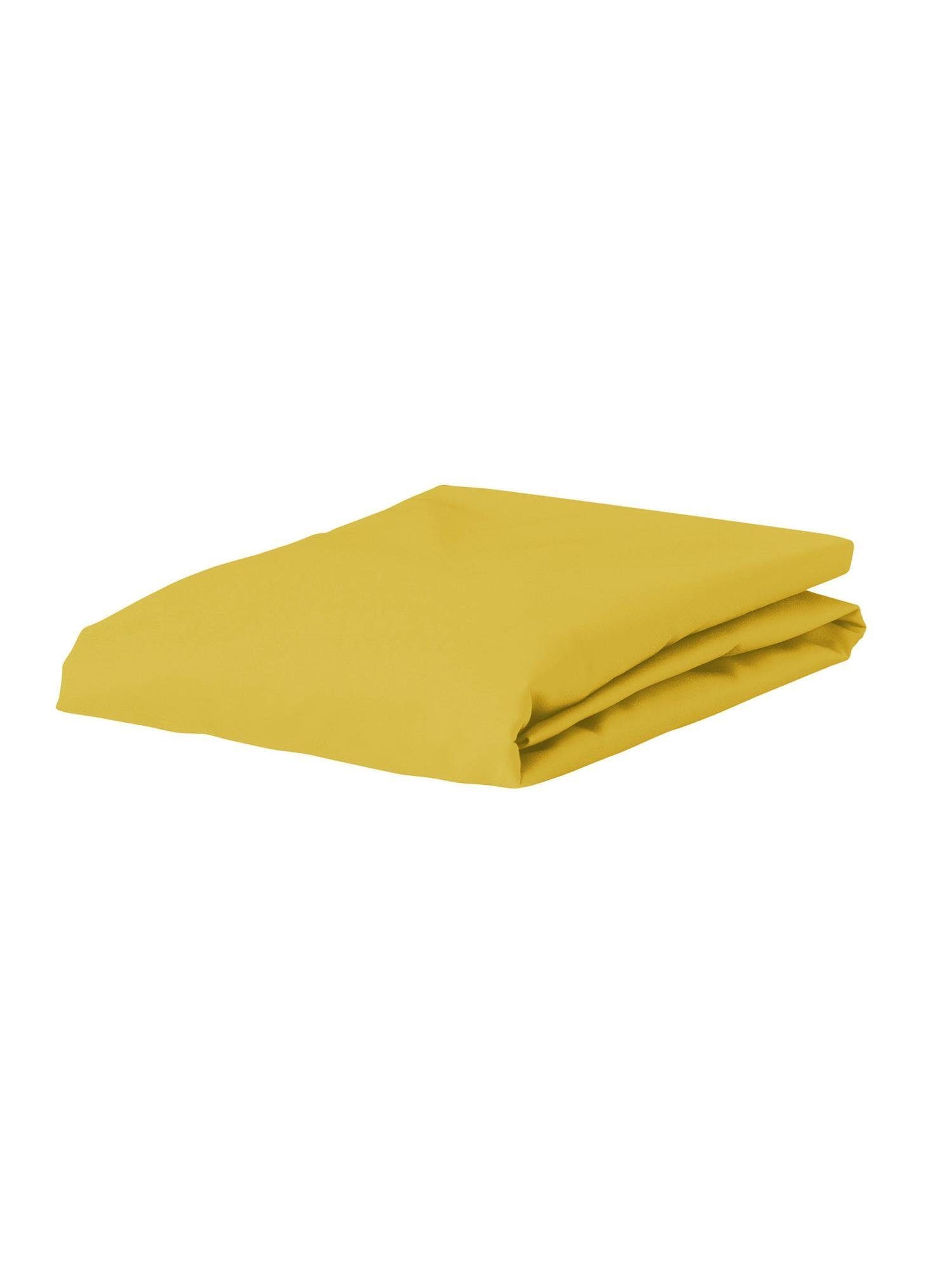 Essenza Spannbettlaken The Perfect Organic Jersey, günstig online kaufen