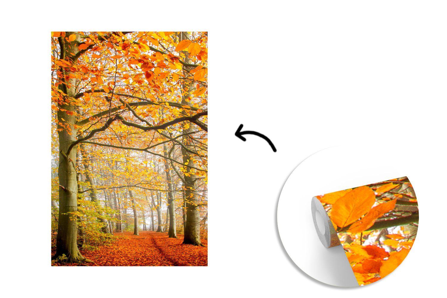MuchoWow Fototapete Herbst - - Vinyl Tapete Matt, Montagefertig Wald bedruckt, (3 Dänemark, Wohnzimmer, St), Wandtapete für