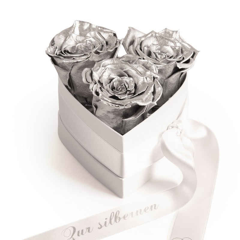 Kunstpflanze »Infinity Rosenbox Silberhochzeit Geschenk Jubiläum 25 Jahre« Rosen, ROSEMARIE SCHULZ Heidelberg, Höhe 10 cm, haltbare Blumen