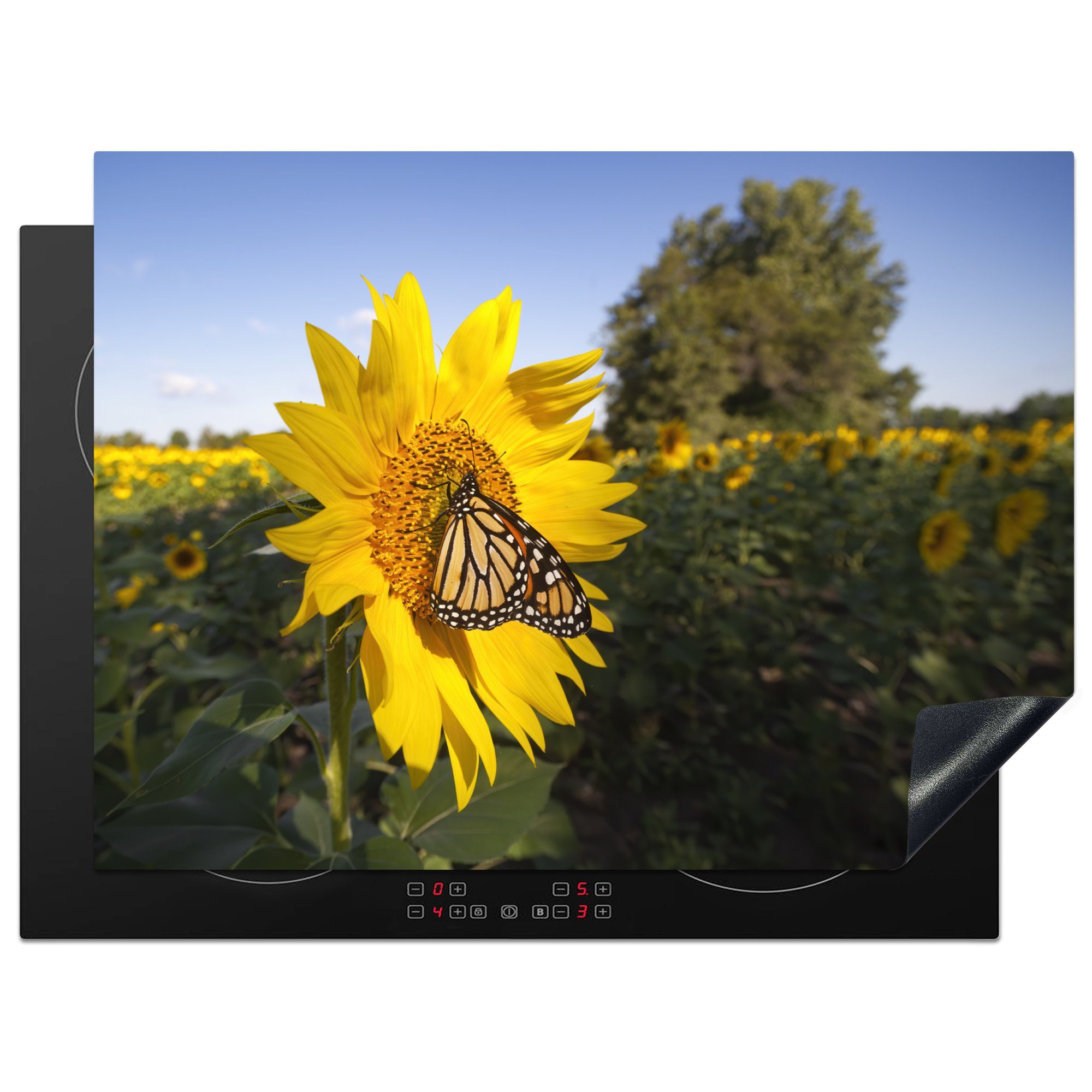 MuchoWow Herdblende-/Abdeckplatte Schmetterling auf einer Arbeitsfläche cm, tlg), (1 nutzbar, Vinyl, Ceranfeldabdeckung 70x52 Mobile Sonnenblume