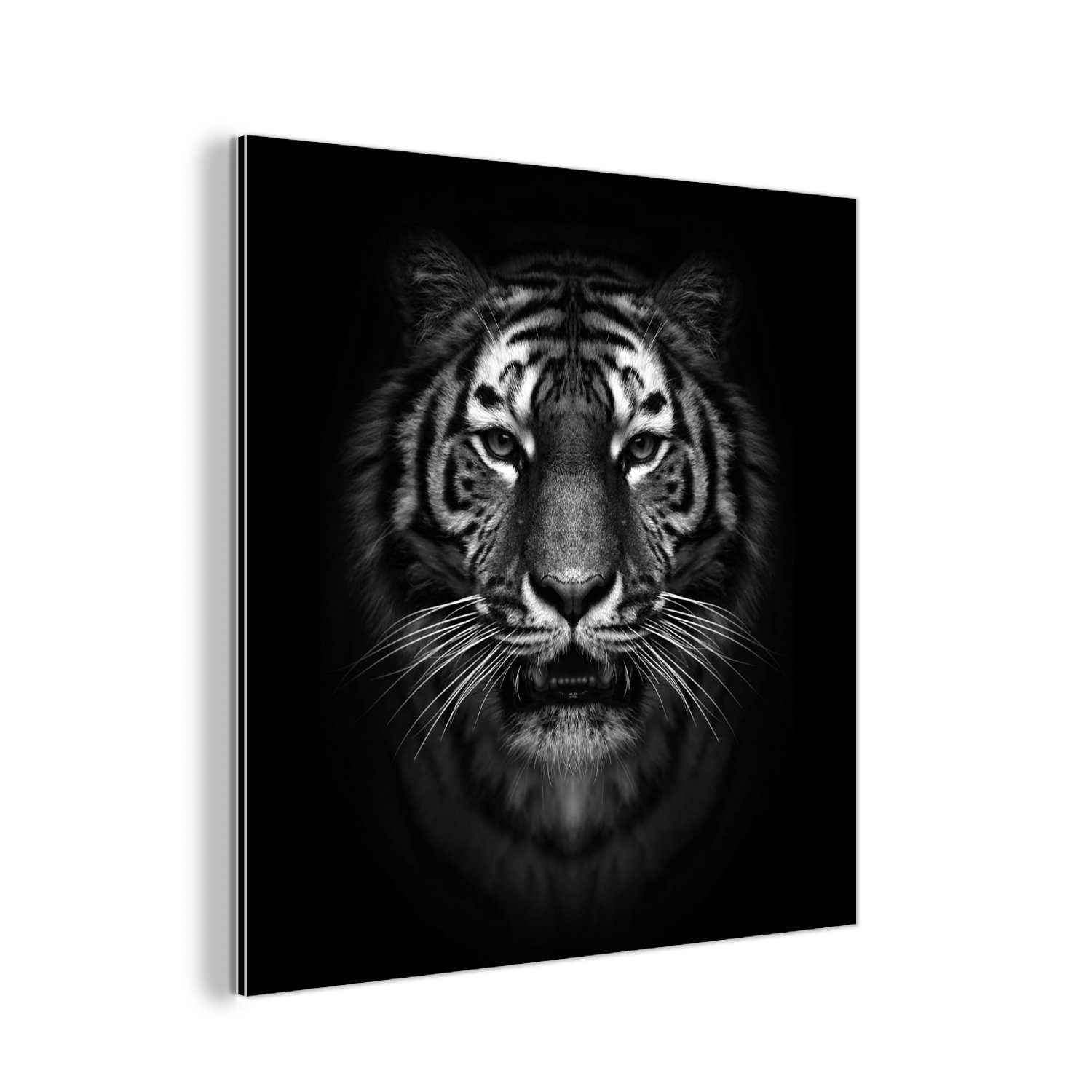 MuchoWow Metallbild Tiger Tiere Schwarz Weiß Porträt Wild, (1