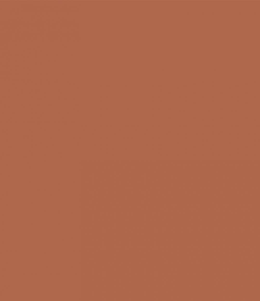 SCHÖNER WOHNEN FARBE Wandfarbe Schöner Wohnen Voll- und Abtönfarbe 250 ml terracotta