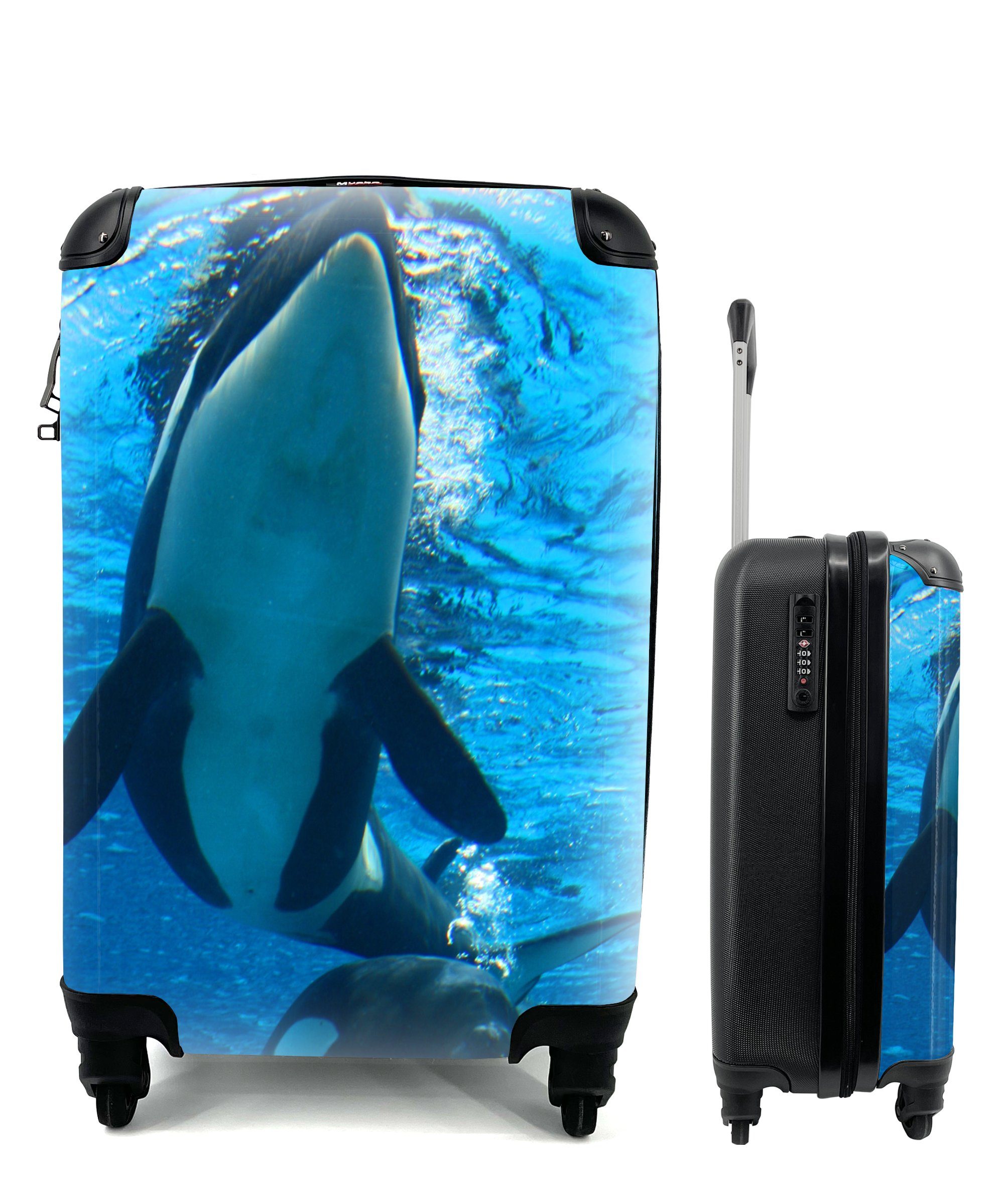 MuchoWow Handgepäckkoffer Zwei Orcas unter Wasser, 4 Rollen, Reisetasche mit rollen, Handgepäck für Ferien, Trolley, Reisekoffer