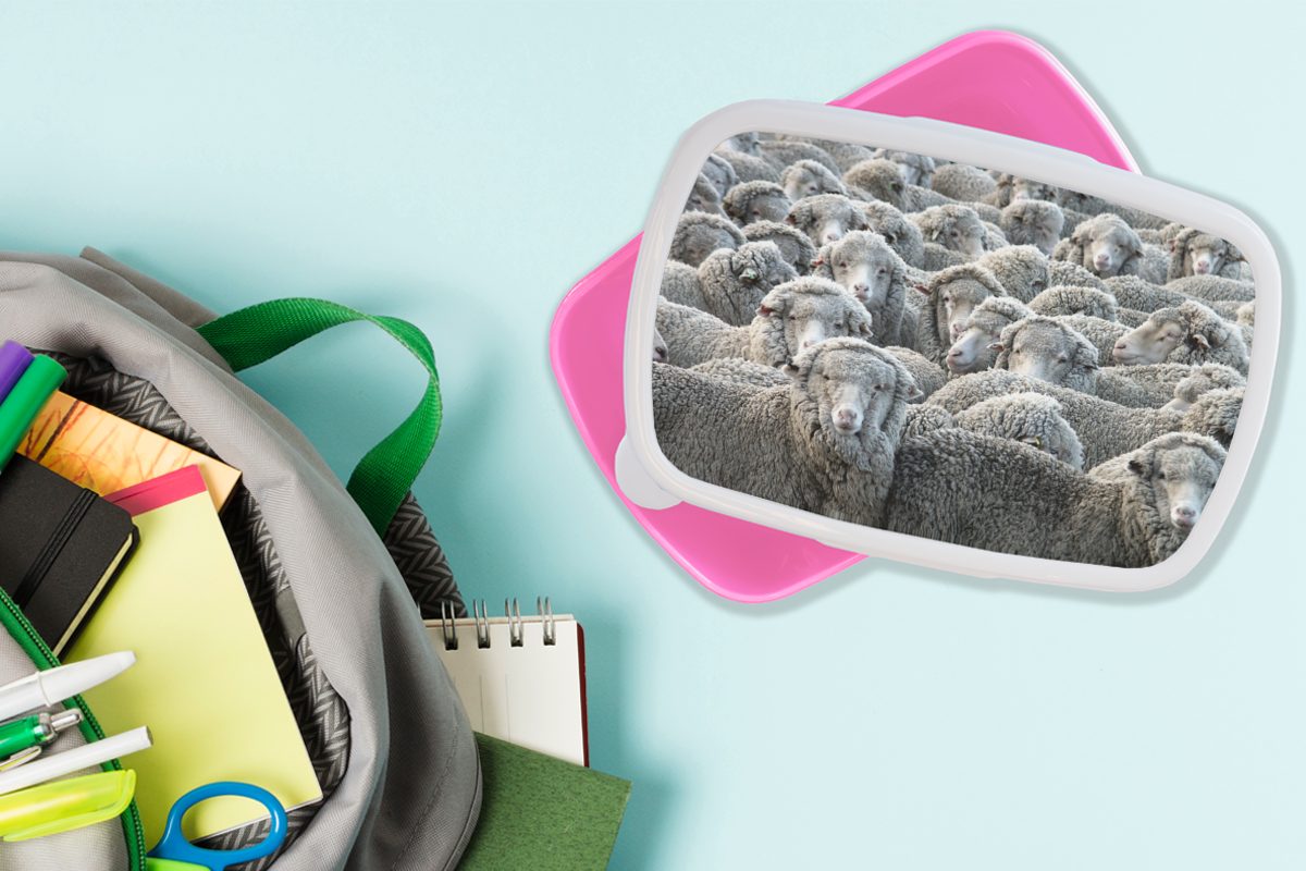 MuchoWow Lunchbox Schafe - Kinder, rosa Brotdose Snackbox, Mädchen, Tiere Erwachsene, Kunststoff Kunststoff, für Schafsfell, - Brotbox (2-tlg)