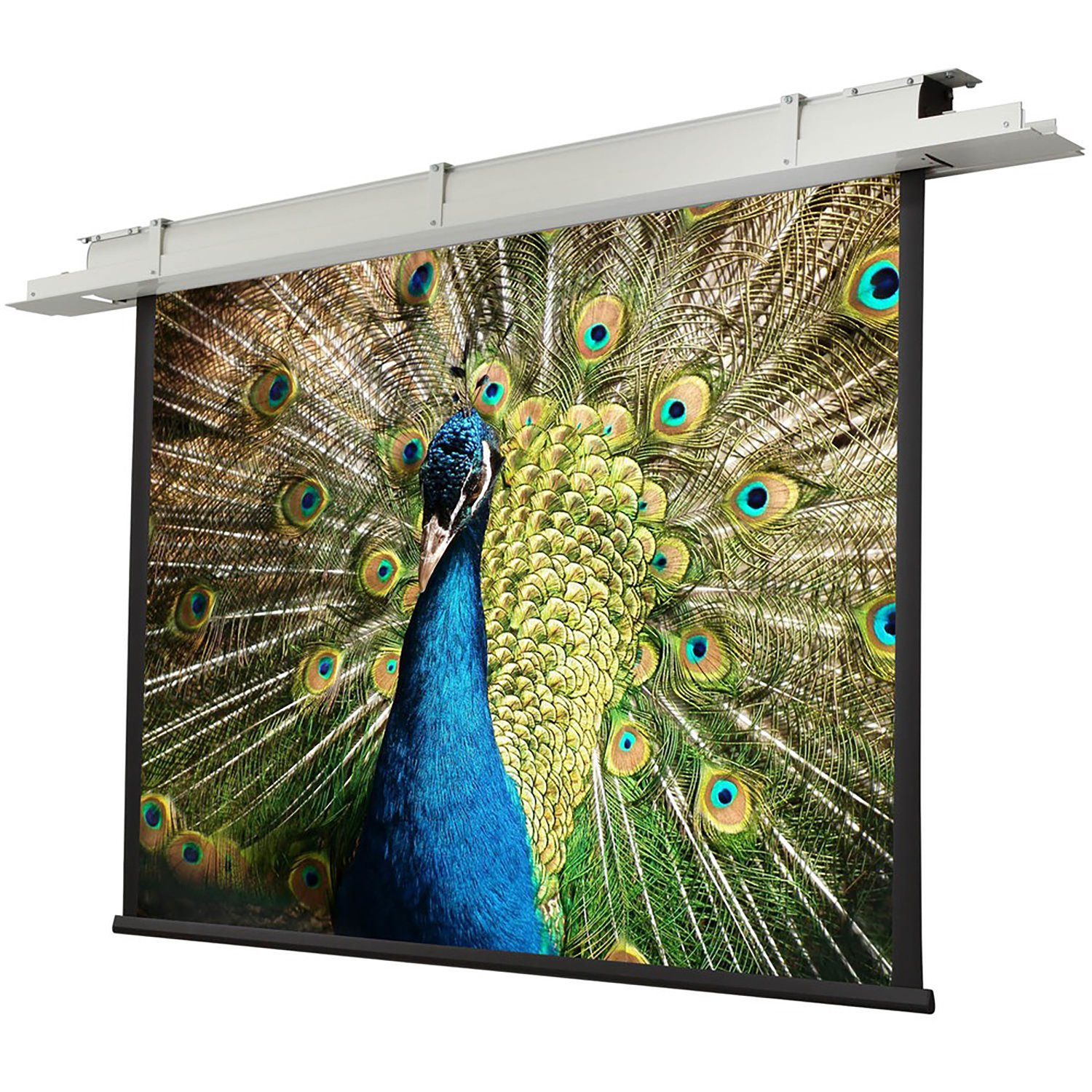 Celexon Rahmenleinwand Expert PureWhite 250 x 140 Celexon Rahmenleinwand Expert PureWhite 250 x 140