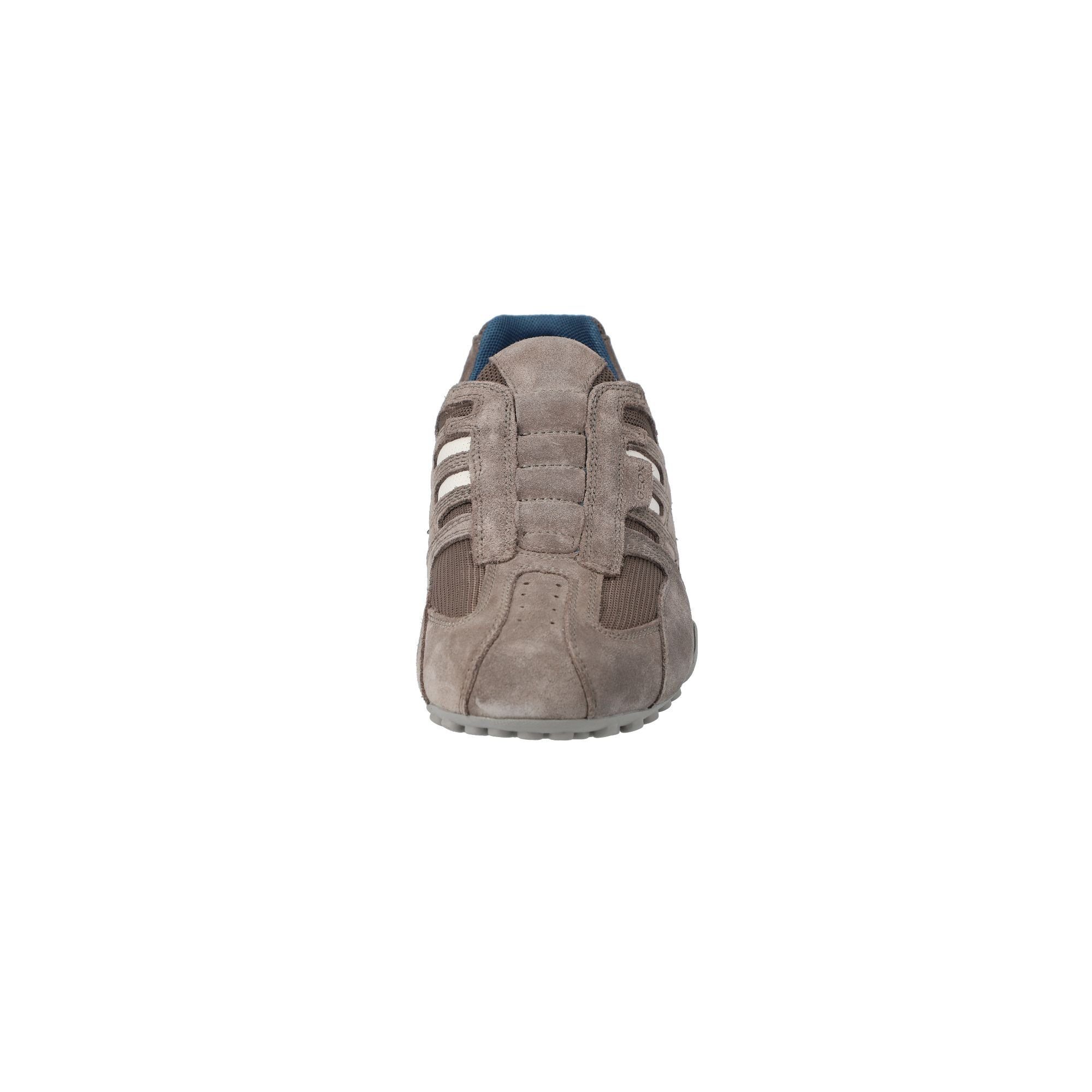 (2-tlg) Hochwertiger grey Geox Sneaker in Qualität dove