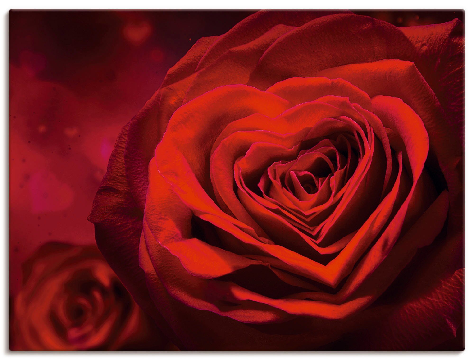 Artland Wandbild Valentinseinladung mit Herzen und Rosen, Blumen (1 St), als Leinwandbild, Poster, Wandaufkleber in verschied. Größen