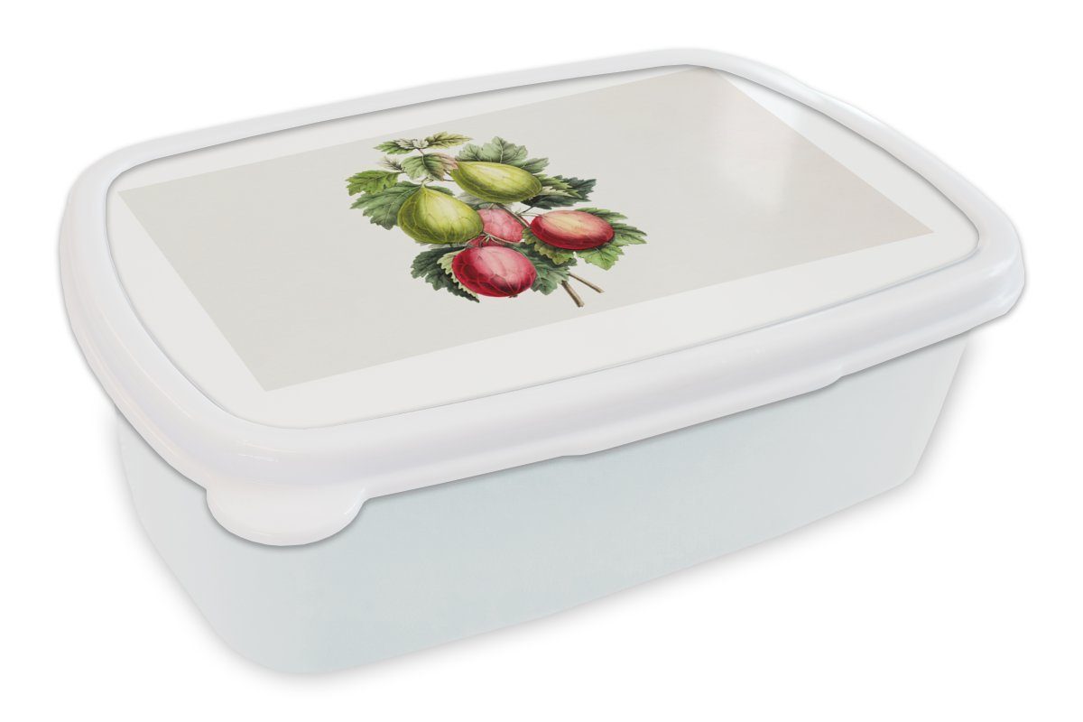 MuchoWow Lunchbox Lebensmittel - Feigen - Gesund, Kunststoff, (2-tlg), Brotbox für Kinder und Erwachsene, Brotdose, für Jungs und Mädchen weiß
