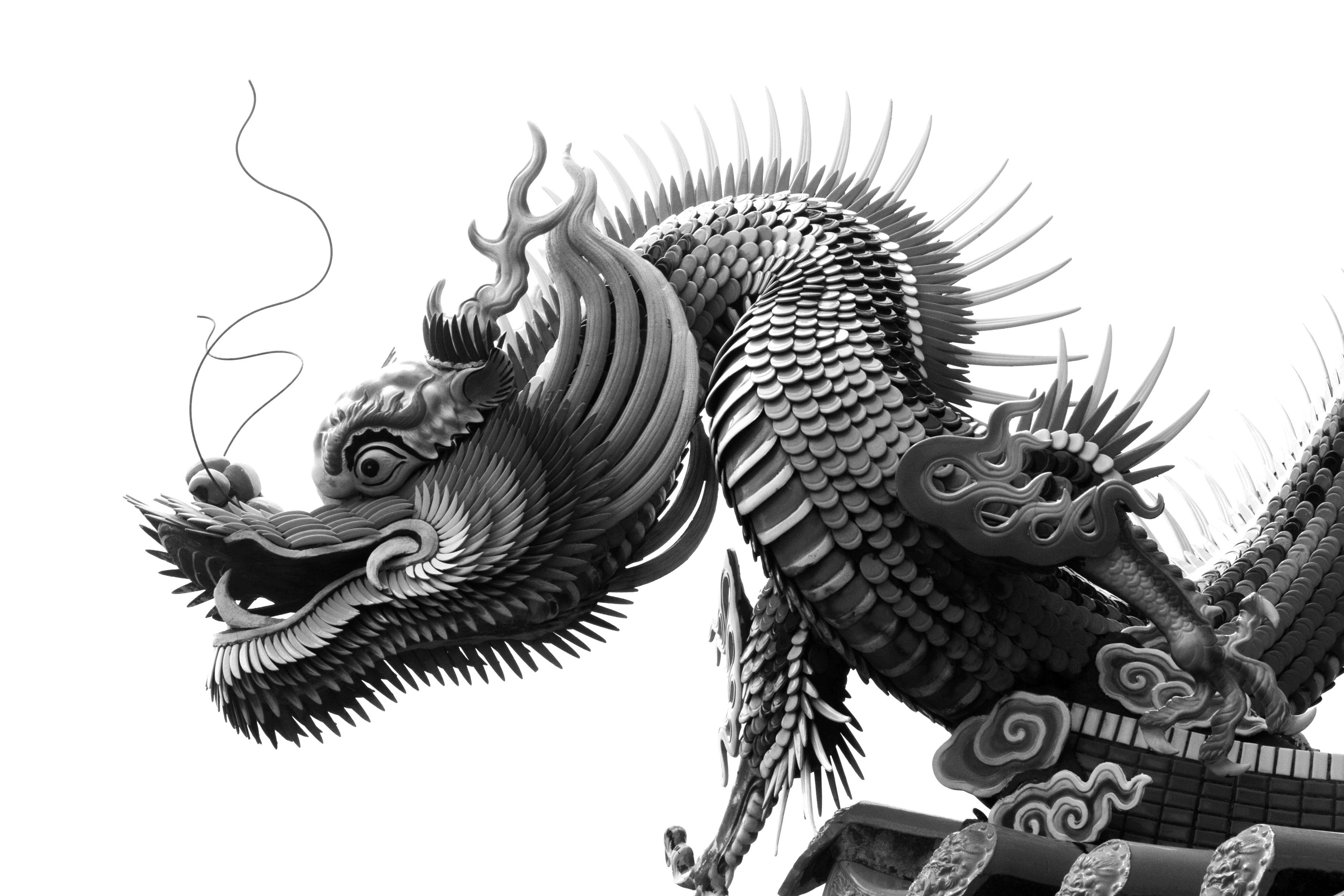 Papermoon Fototapete Chinesischer Drache Schwarz & Weiß