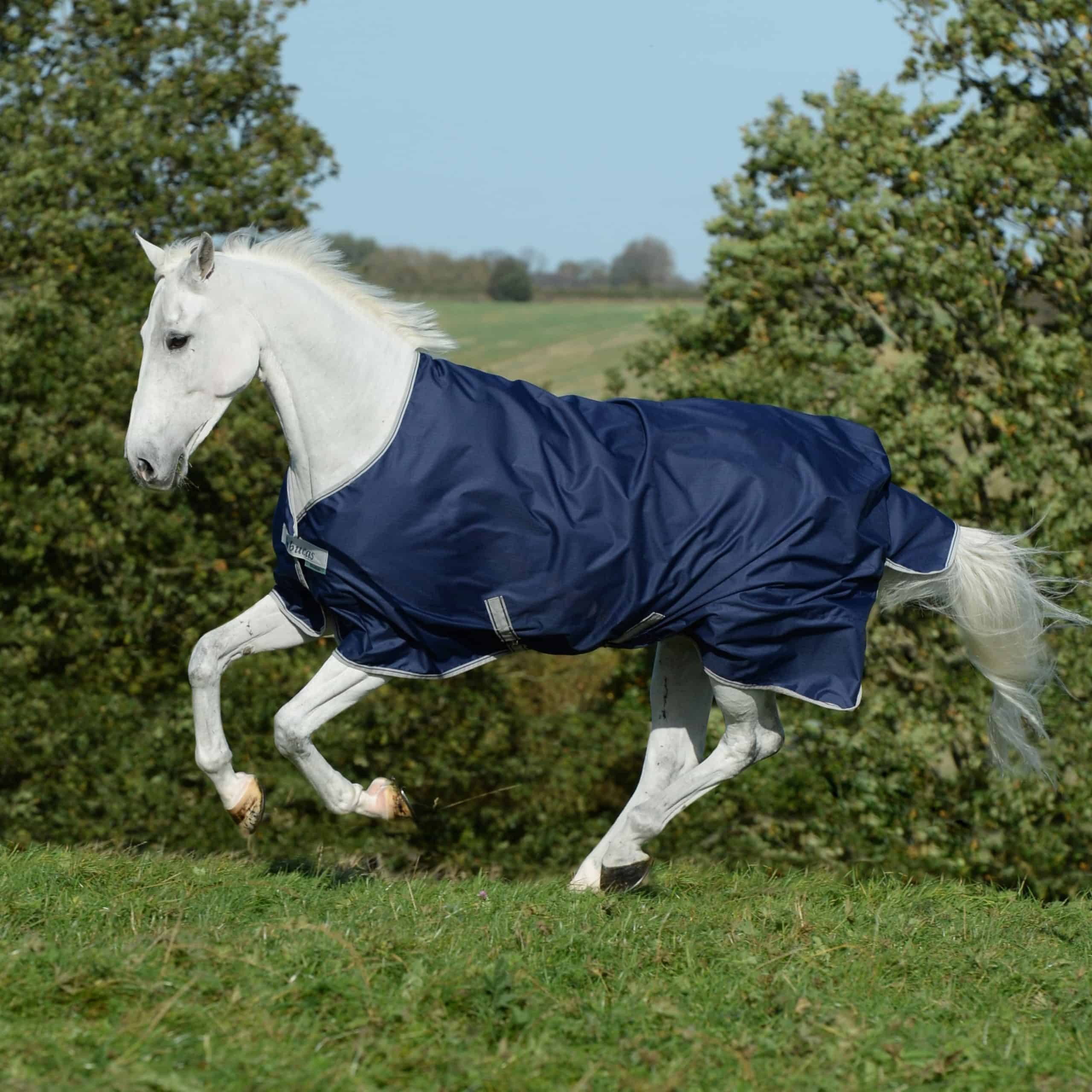 Bucas Ausreitdecke Outdoordecke Freedom Turnout Light 0g