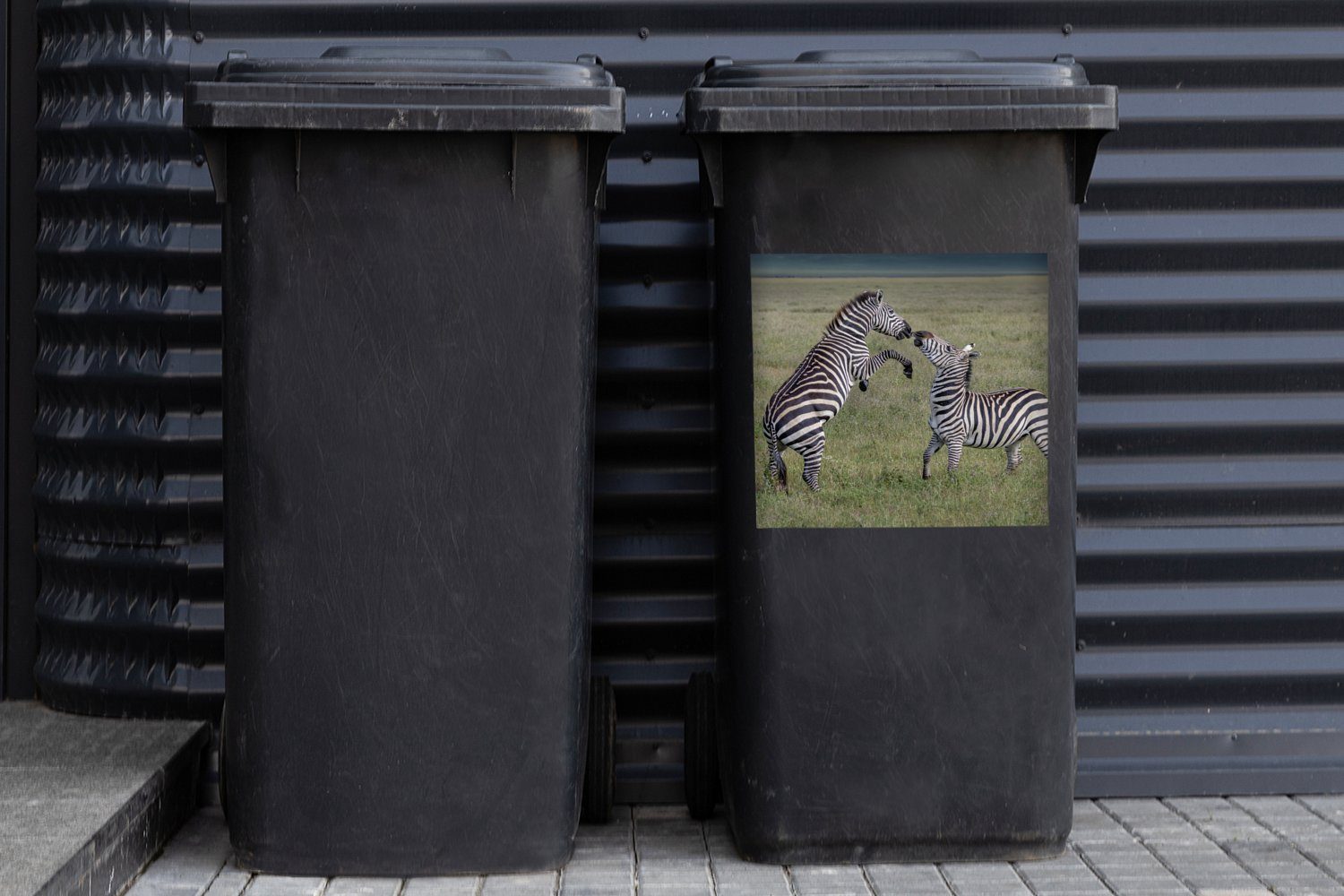 Wandsticker Container, (1 Mülltonne, Sticker, St), Mülleimer-aufkleber, Zebras Spielende Abfalbehälter MuchoWow