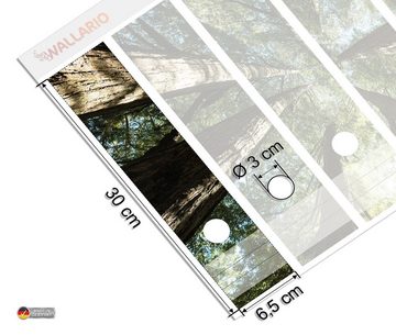 Wallario Etiketten Mamutbäume von unten betrachtet, Ordnerrücken-Sticker in verschiedenen Ausführungen