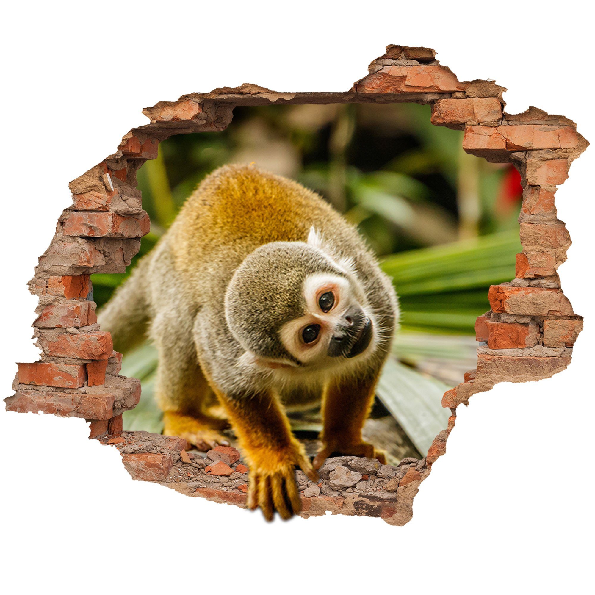 WallSpirit Wandtattoo Wanddurchbruch "Äffchen", Selbstklebend, rückstandslos abziehbar