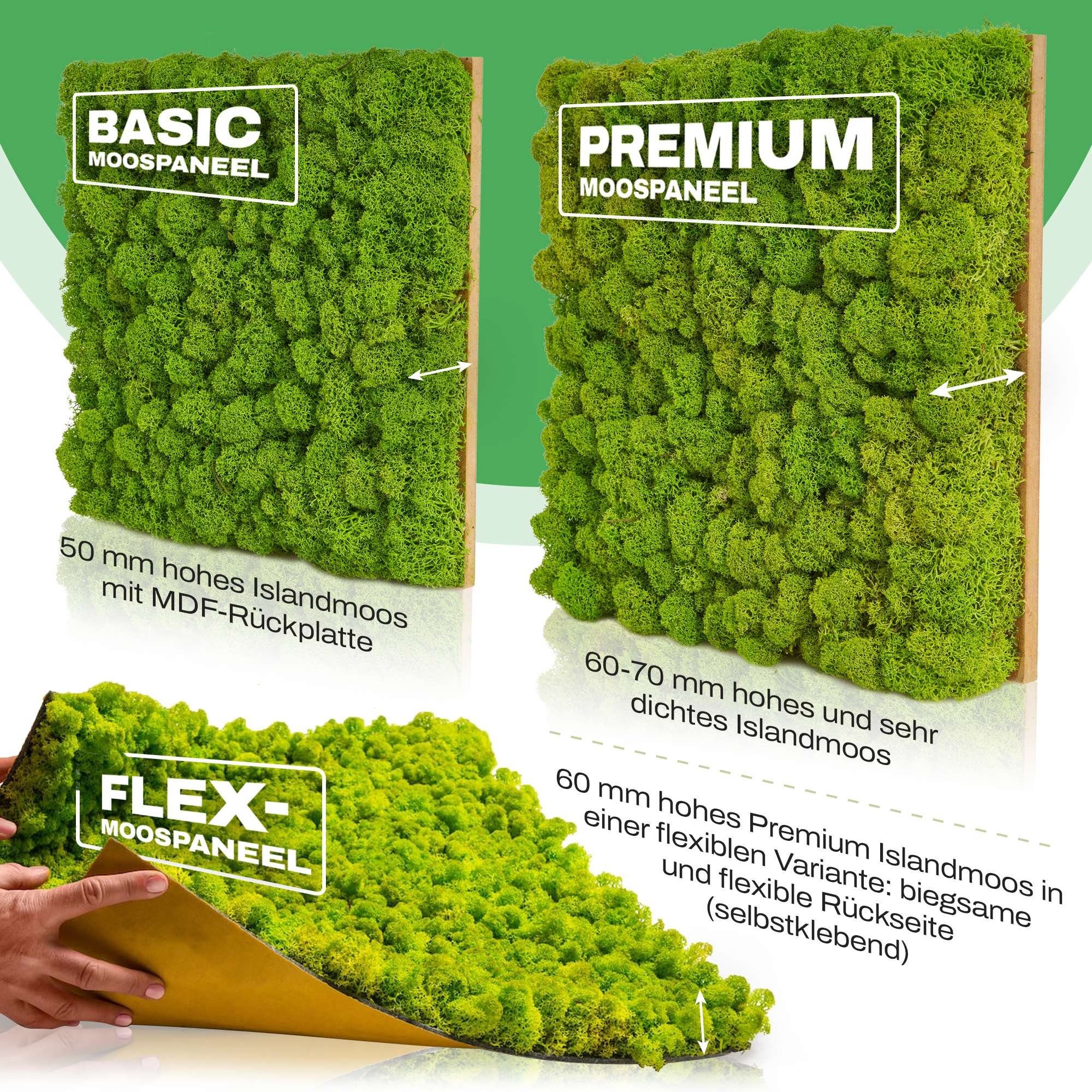 naturewalls Wandpaneel Moospaneele Flex 25x25 - günstig online kaufen