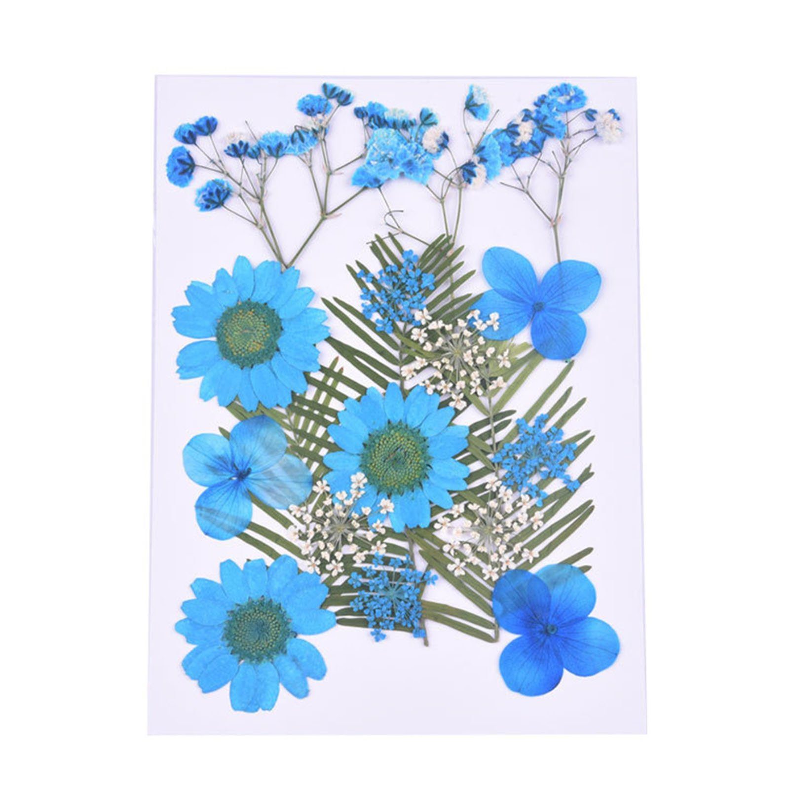 Trockene, Getrocknete Blumen, 6 Kleine Gepresste Blumen, combination Blusmart Trockenblume Scrapbooking,
