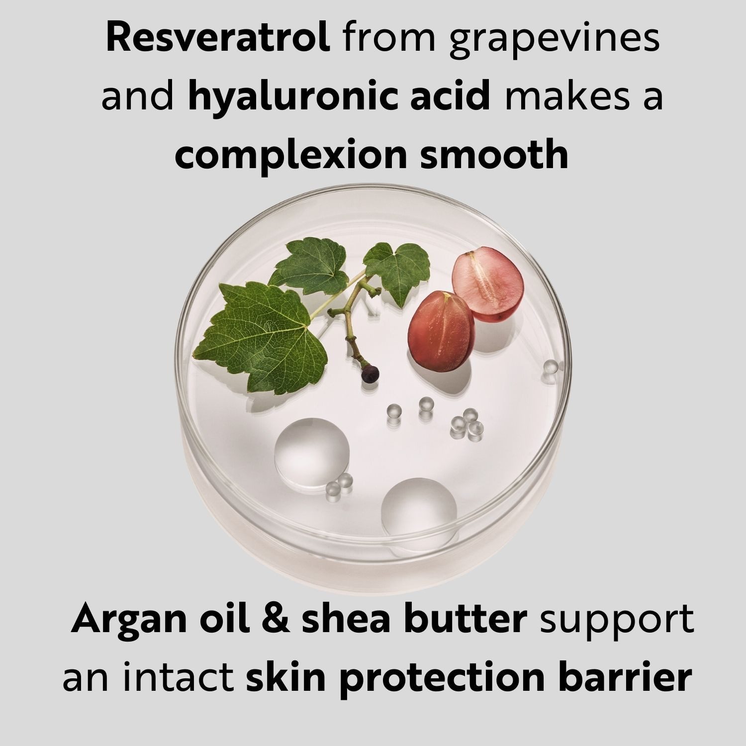 M. Asam Straffungspflege Resveratol Premium NT50 Lifting Cream 100ml