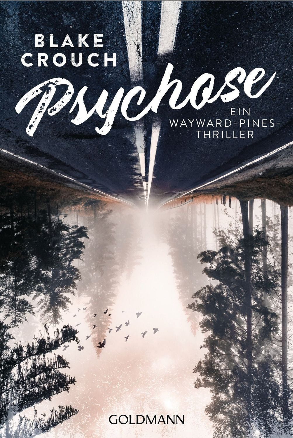 Psychose / Blake Crouch