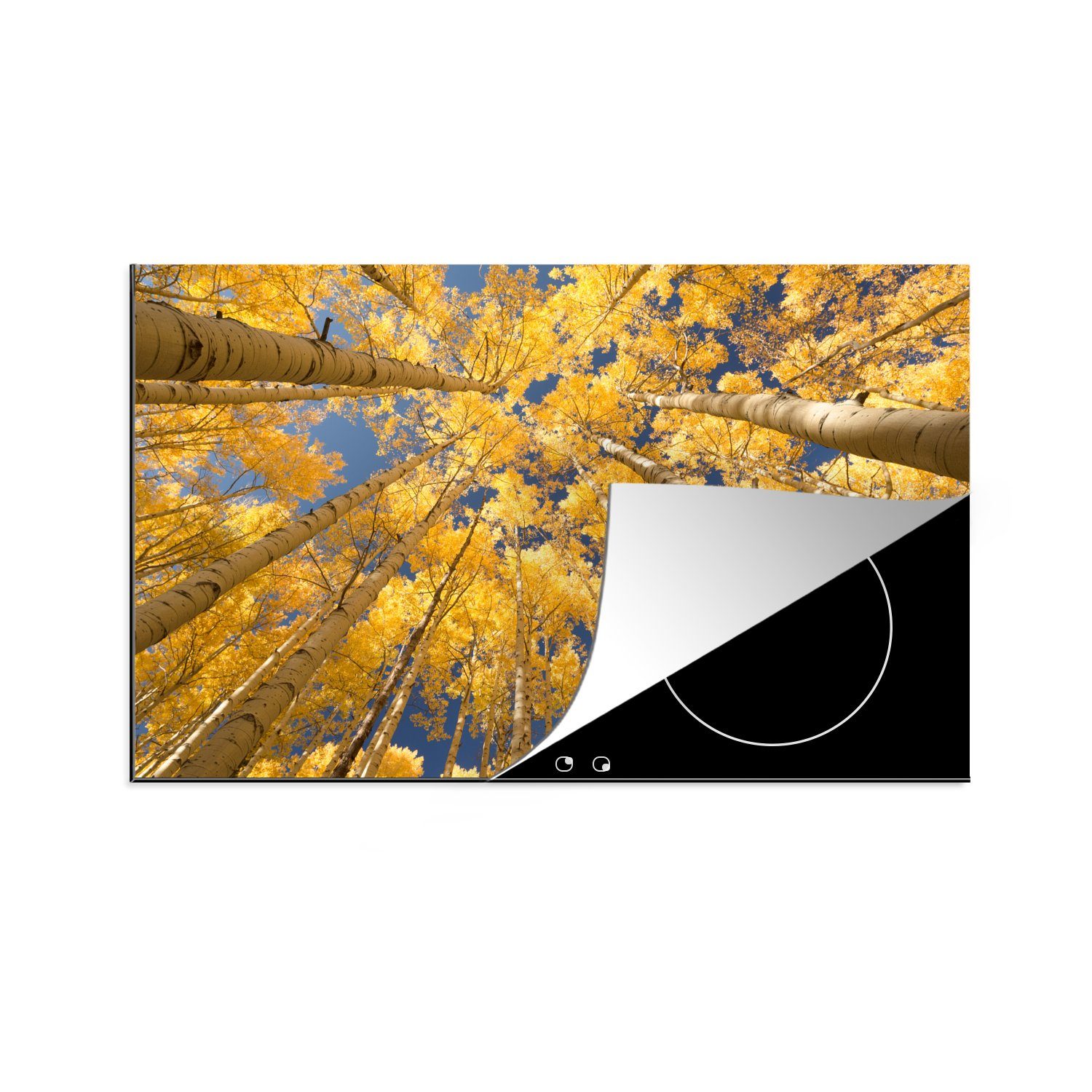 MuchoWow Herdblende-/Abdeckplatte Birke mit gelben Blättern in Froschperspektive, Vinyl, (1 tlg), 81x52 cm, Induktionskochfeld Schutz für die küche, Ceranfeldabdeckung