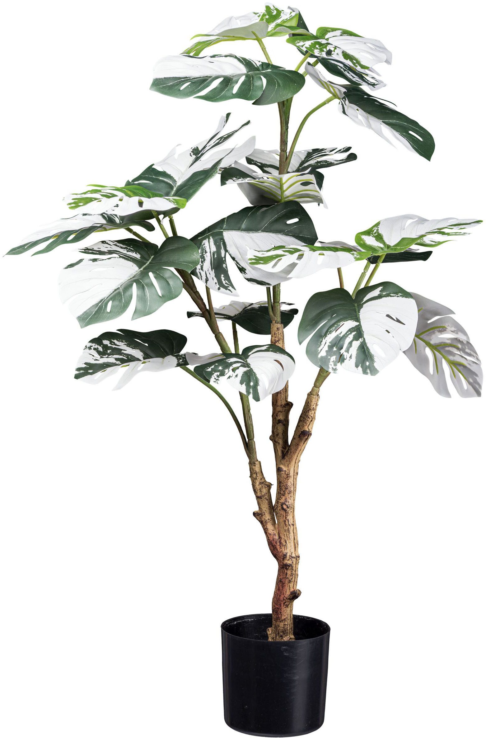 Kunstpflanze Monstera Deliciosa Variegata Grünpflanze, Creativ günstig online kaufen