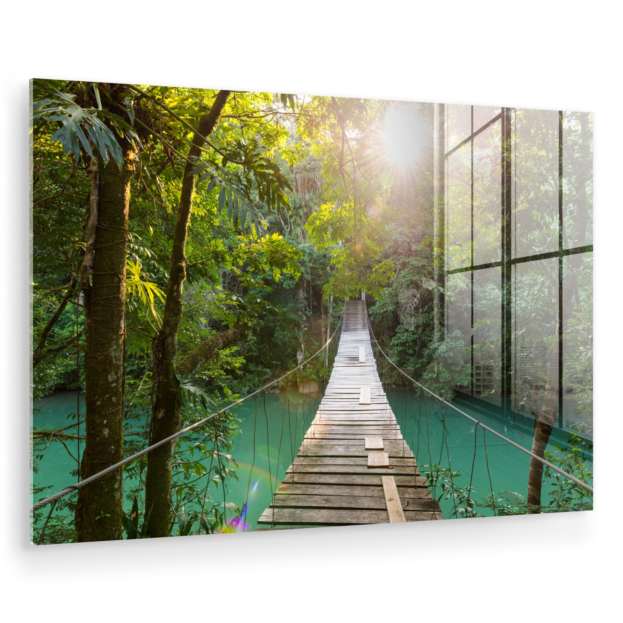 MuchoWow Acrylglasbild Dschungel - Wasser - günstig online kaufen