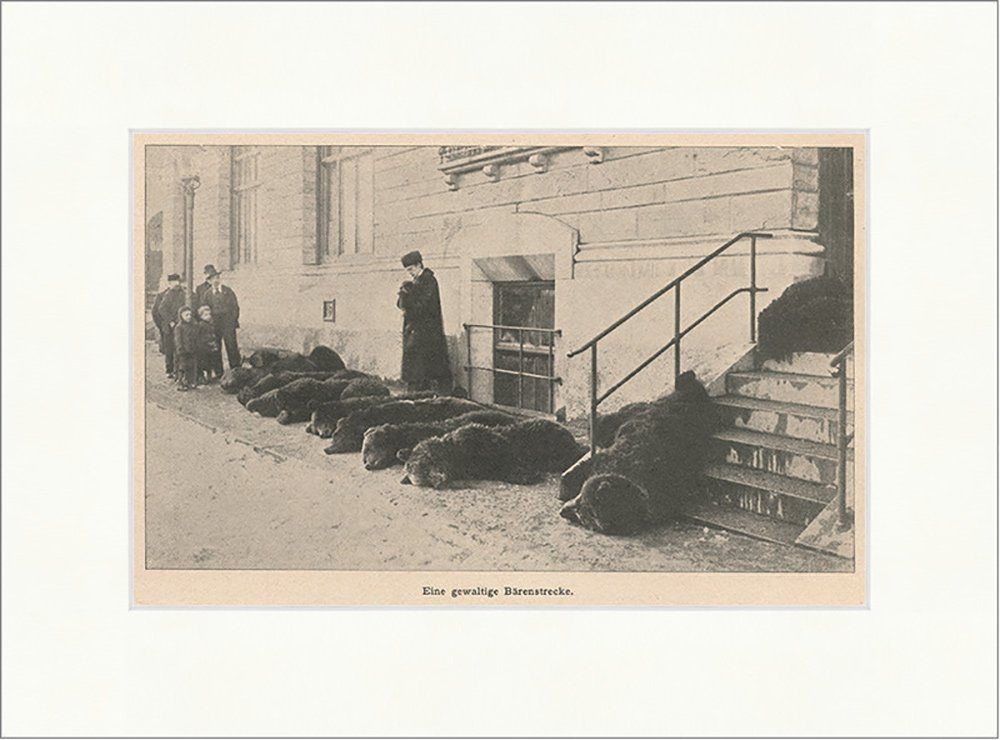 Kunstdruck Eine gewaltige Bärenstrecke. Tiere Beute Jagd Pelz Fell Tot F_Vintage