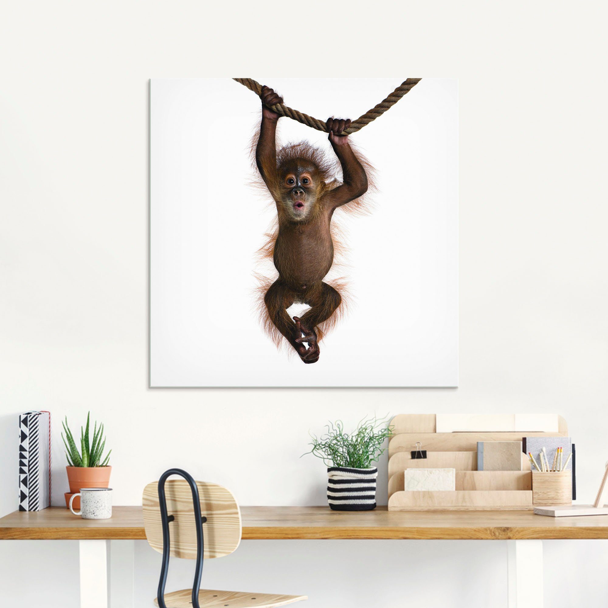 Artland Glasbild Baby Orang Utan hängt an Seil II, Wildtiere (1 St), in verschiedenen Größen