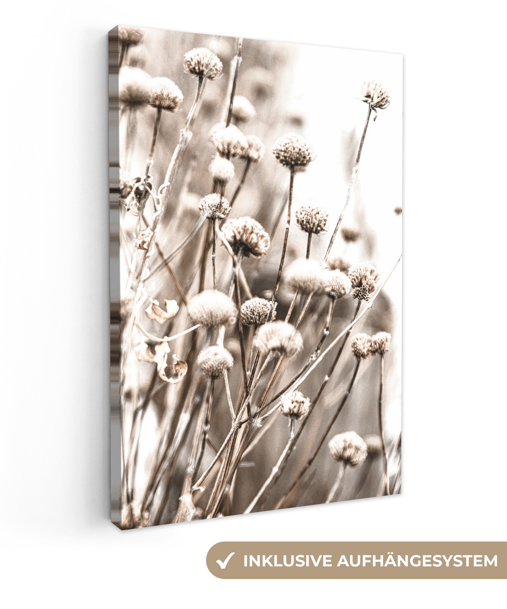 OneMillionCanvasses® Leinwandbild Blumen - Pflanzen - Stillleben - Natur, F günstig online kaufen