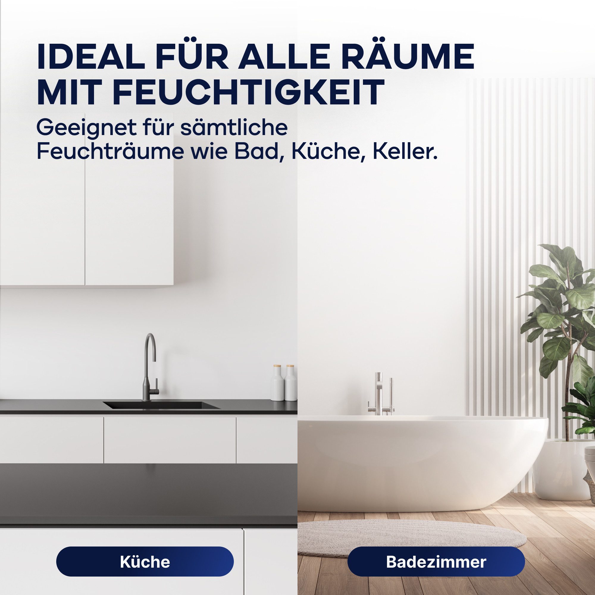 plid Wand- und Deckenfarbe Anti-Schimmelfarbe Schimmelschutzfarbe Feuchtraumfarbe Schimmelfarbe, Schnelltrocknend, spritzarm, verarbeitungsfertig